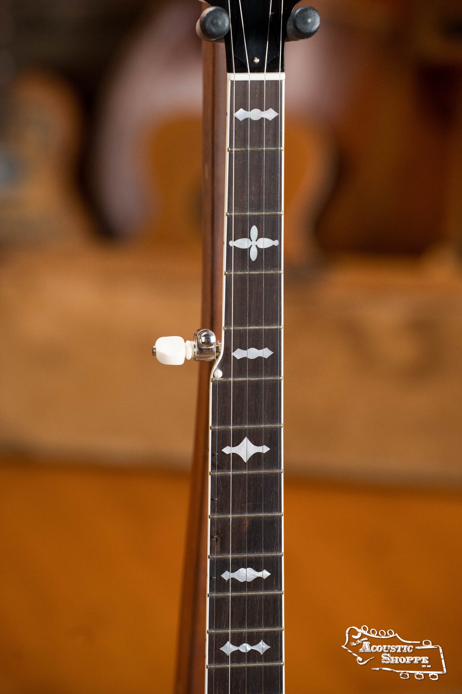 Sullivan American Classic 75 "Leaves and Bows" Pattern Mahogany Resonator Banjo #0241