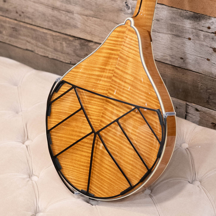 Tone-Gard Mandolin - Deco