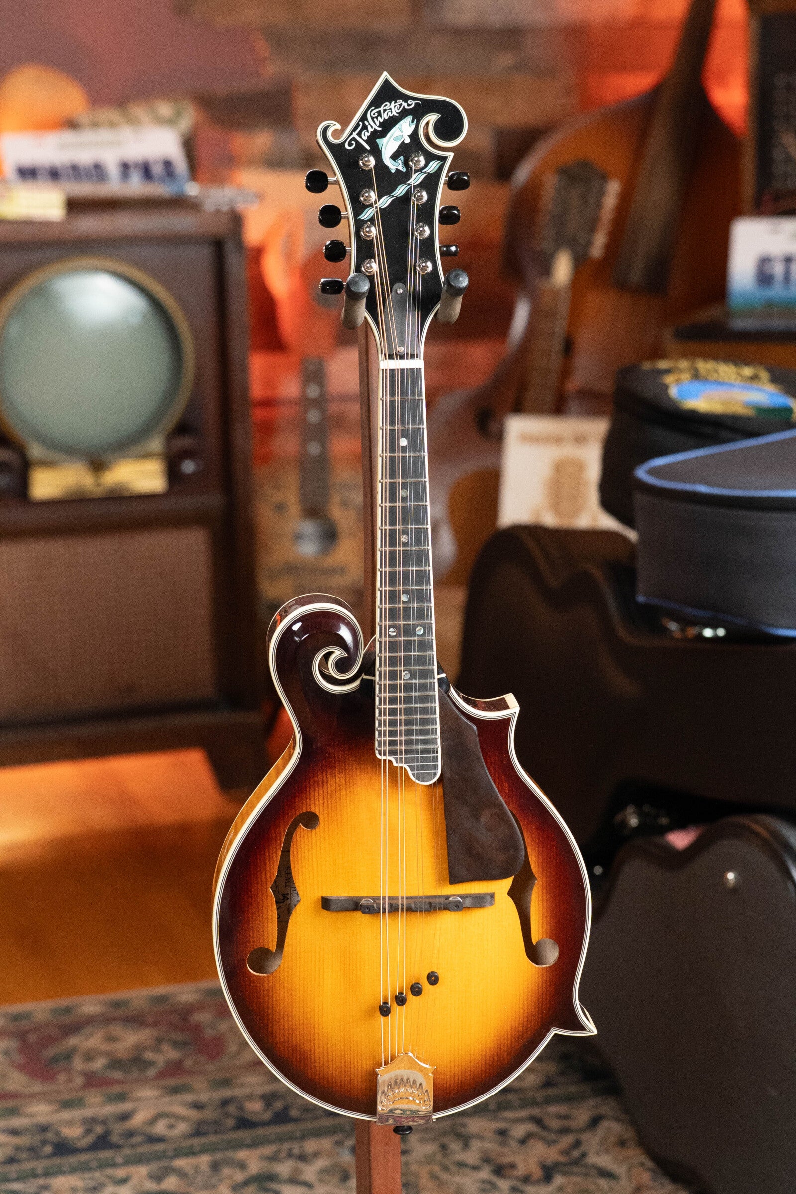 Tailwater TW-F5 Spruce/Flamed Maple F-Style Mandolin w/Scooped Fretboard Extension #1201