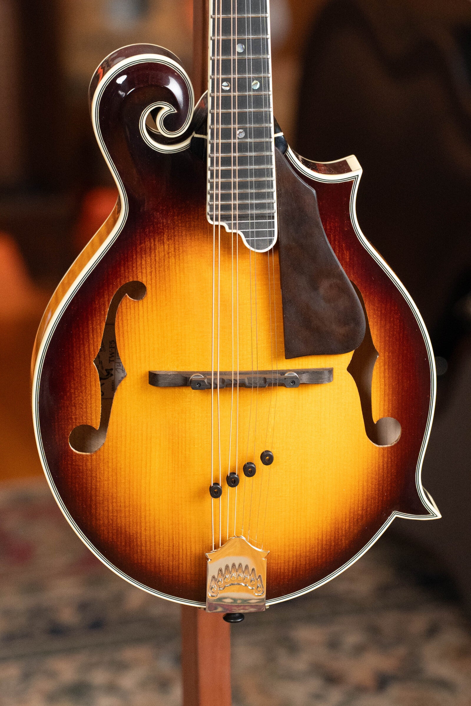 Tailwater TW-F5 Spruce/Flamed Maple F-Style Mandolin w/Scooped Fretboard Extension #1201