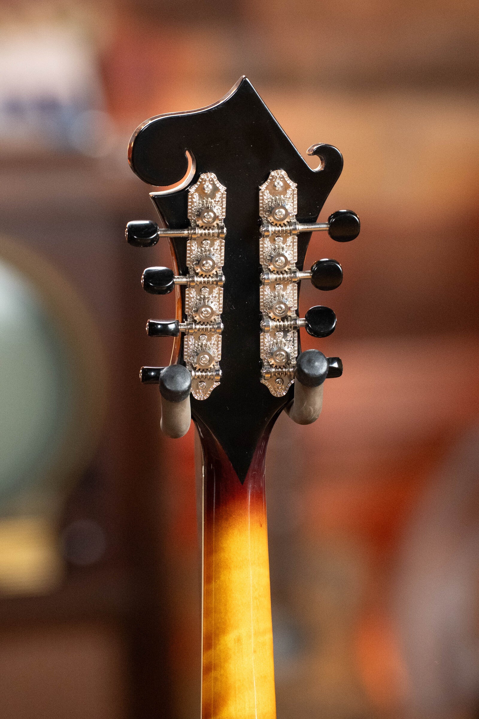Tailwater TW-F5 Spruce/Flamed Maple F-Style Mandolin w/Scooped Fretboard Extension #1201