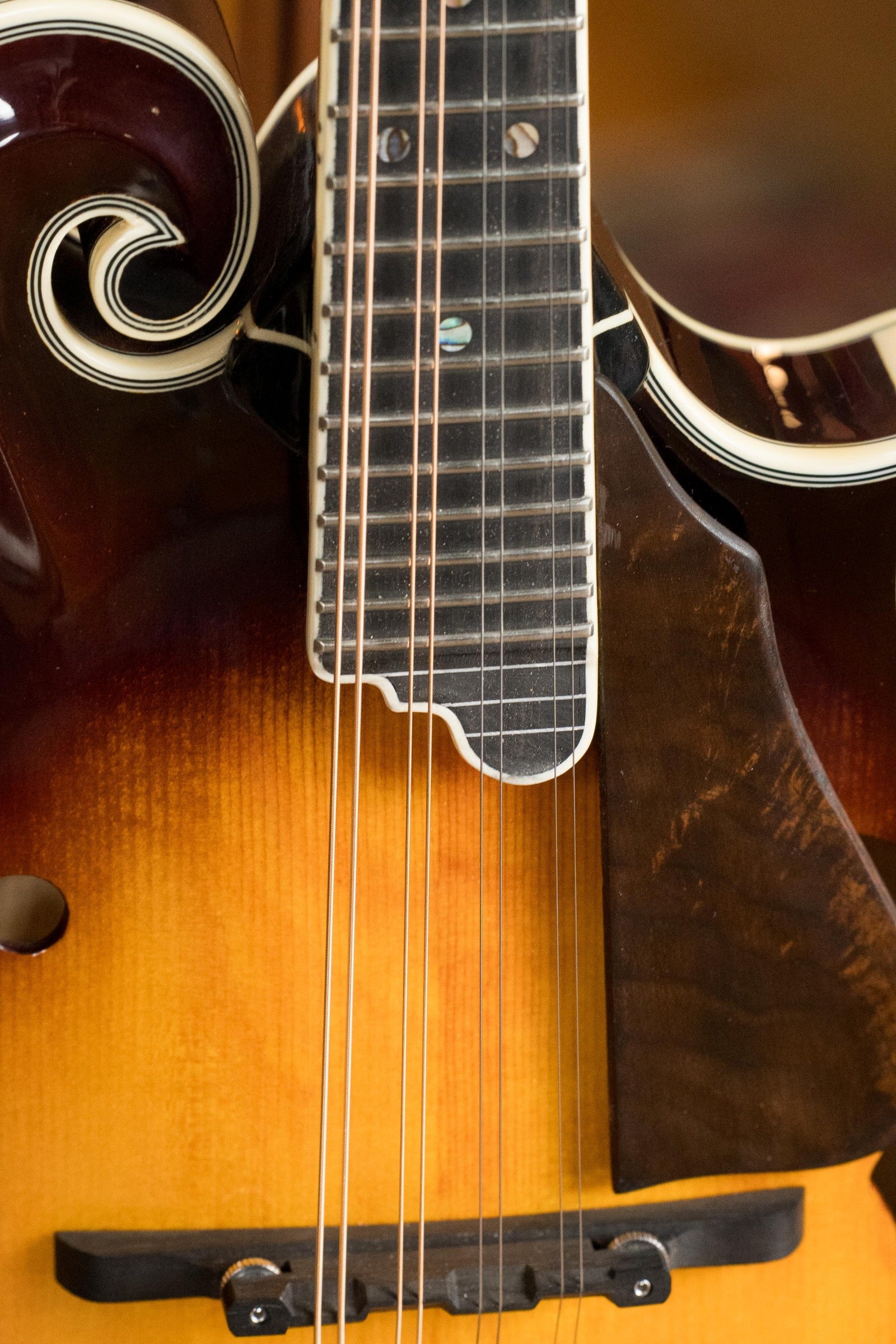 Tailwater TW-F5 Spruce/Flamed Maple F-Style Mandolin w/Scooped Fretboard Extension #1203