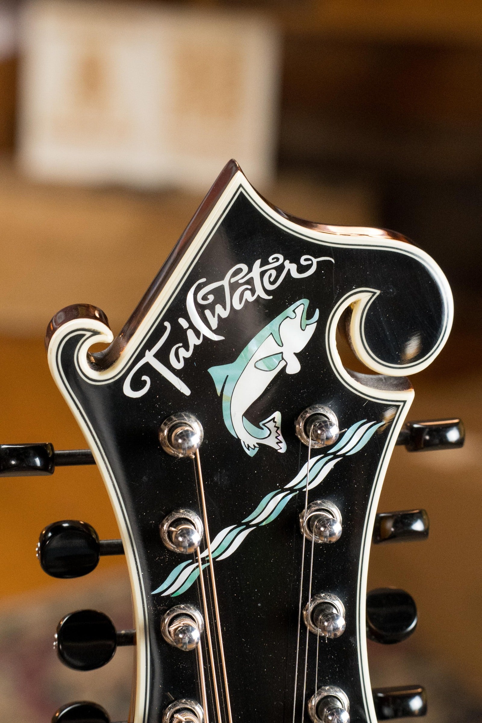 Tailwater TW-F5 Spruce/Flamed Maple F-Style Mandolin w/Scooped Fretboard Extension #1203