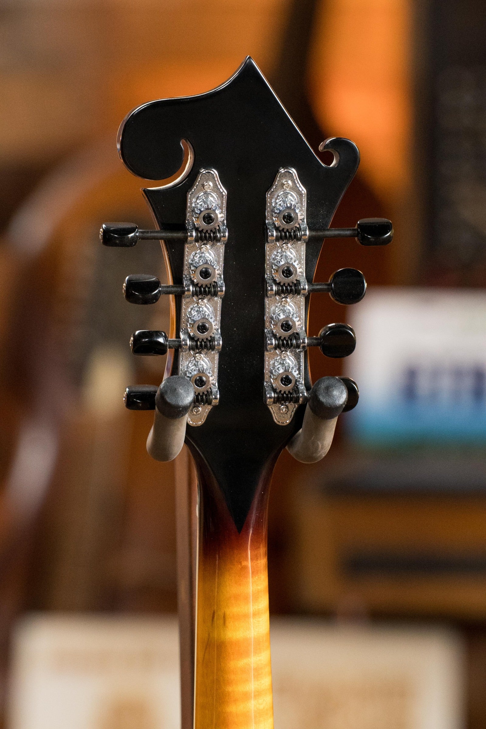 Tailwater TW-F5 Spruce/Flamed Maple F-Style Mandolin w/Scooped Fretboard Extension #1203