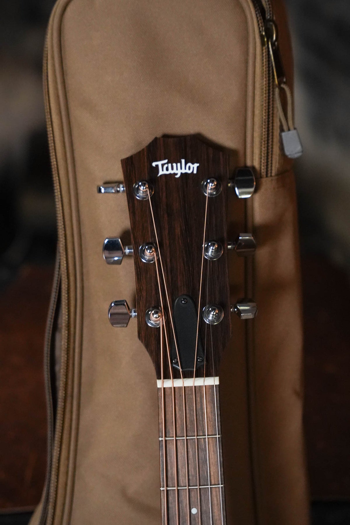 Taylor 114ce Grand Auditorium Acoustic-Electric #6098