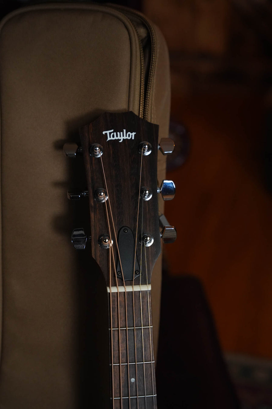 Taylor 117e Grand Pacific Acoustic-Electric #6316