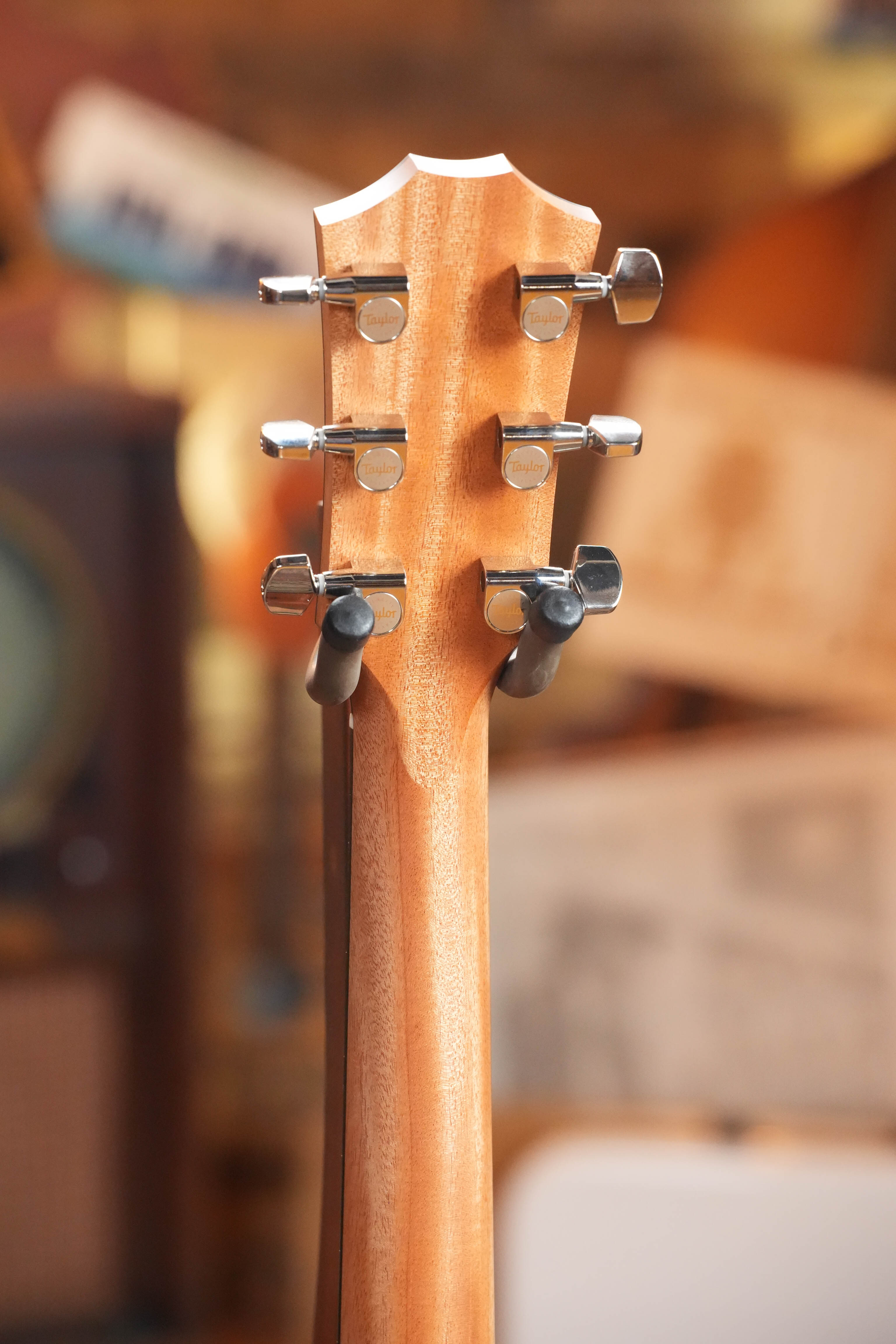 Taylor 214ce Plus Grand Auditorium Acoustic-Electric #6379