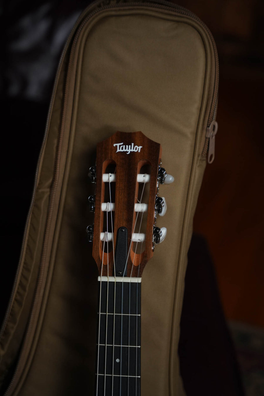 Taylor Academy 12e-N Grand Concert Nylon-String #6047