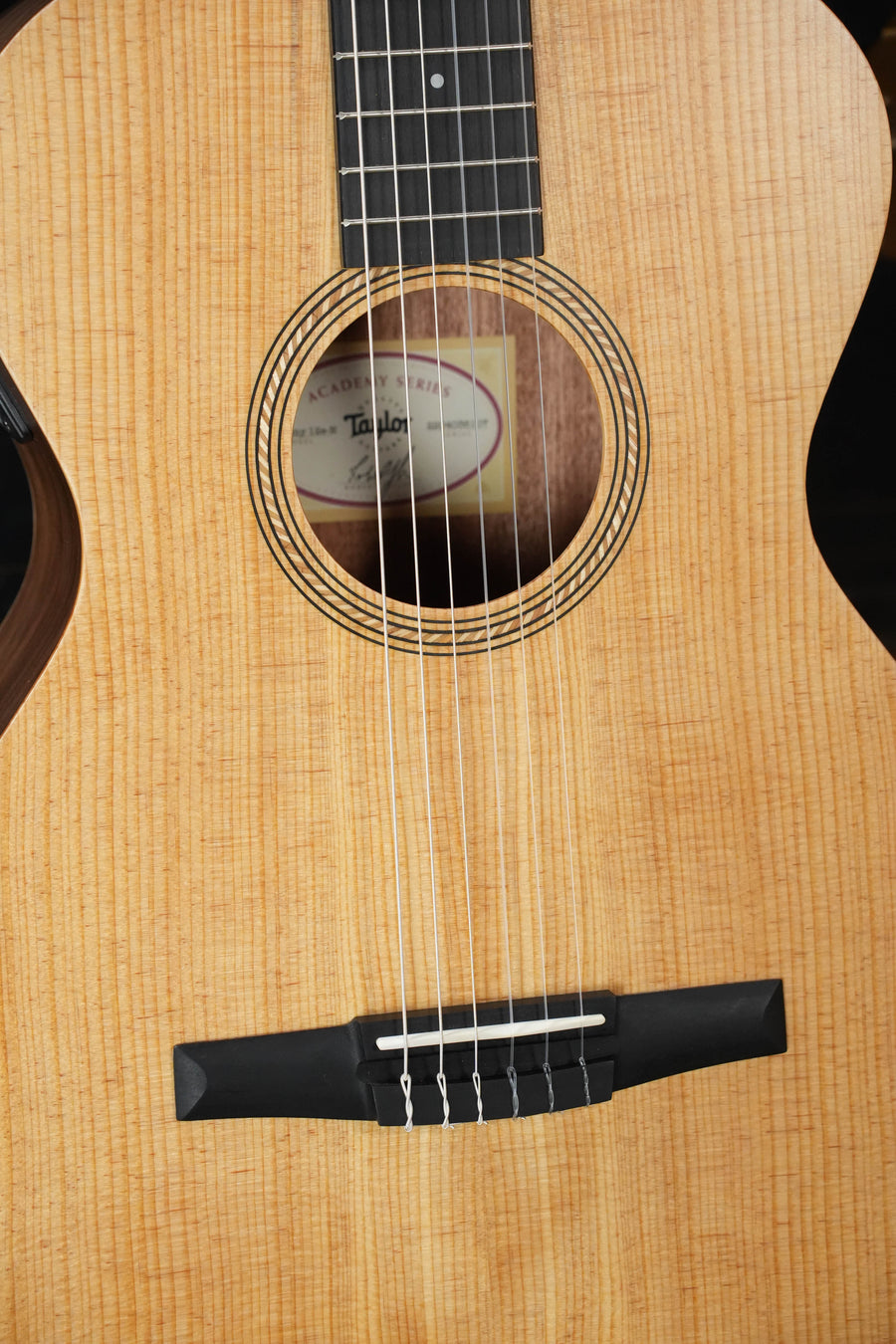Taylor Academy 12e-N Grand Concert Nylon-String #6107