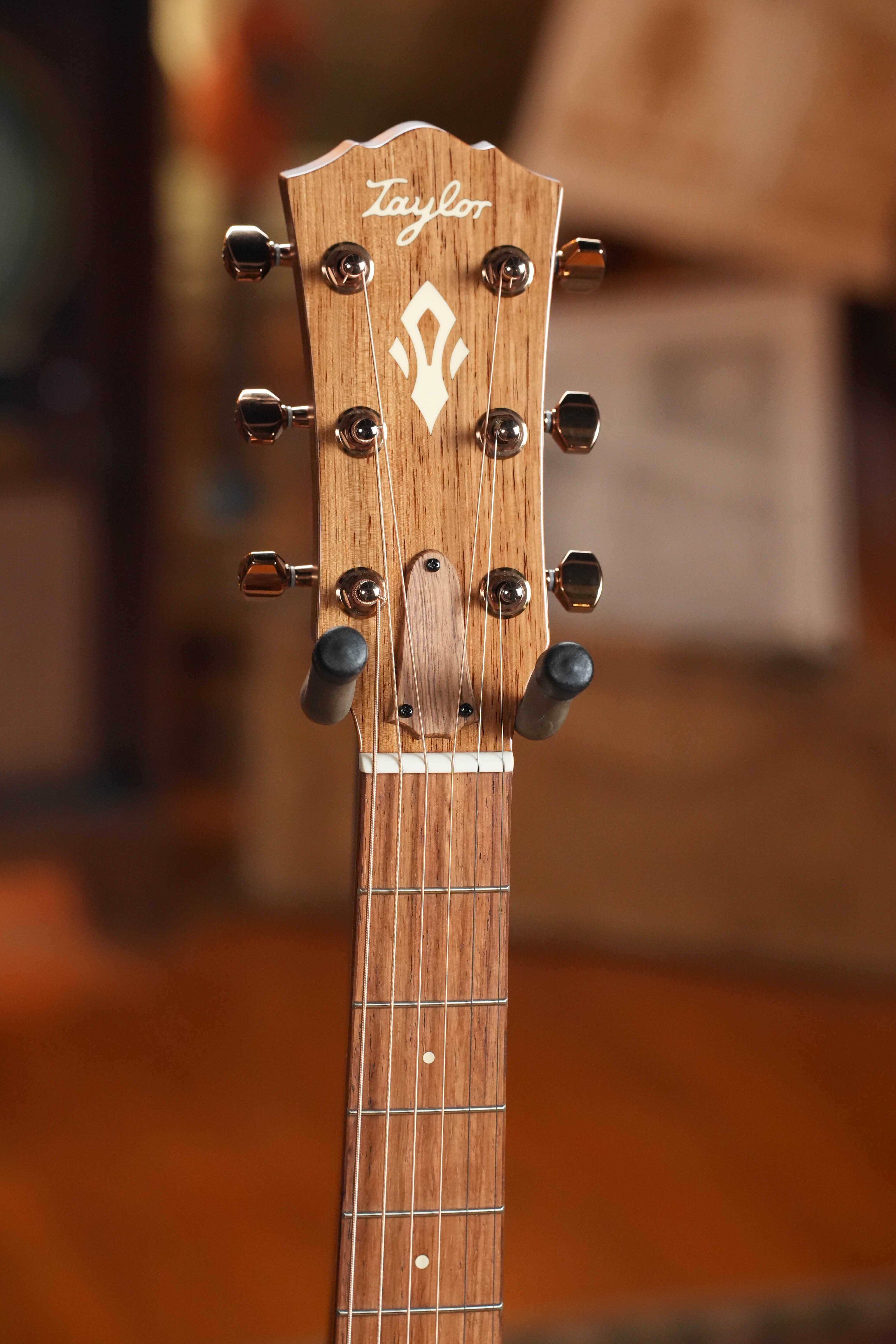 Taylor Ben Harper Gold Label 512e SE Grand Concert Acoustic-Electric #6029