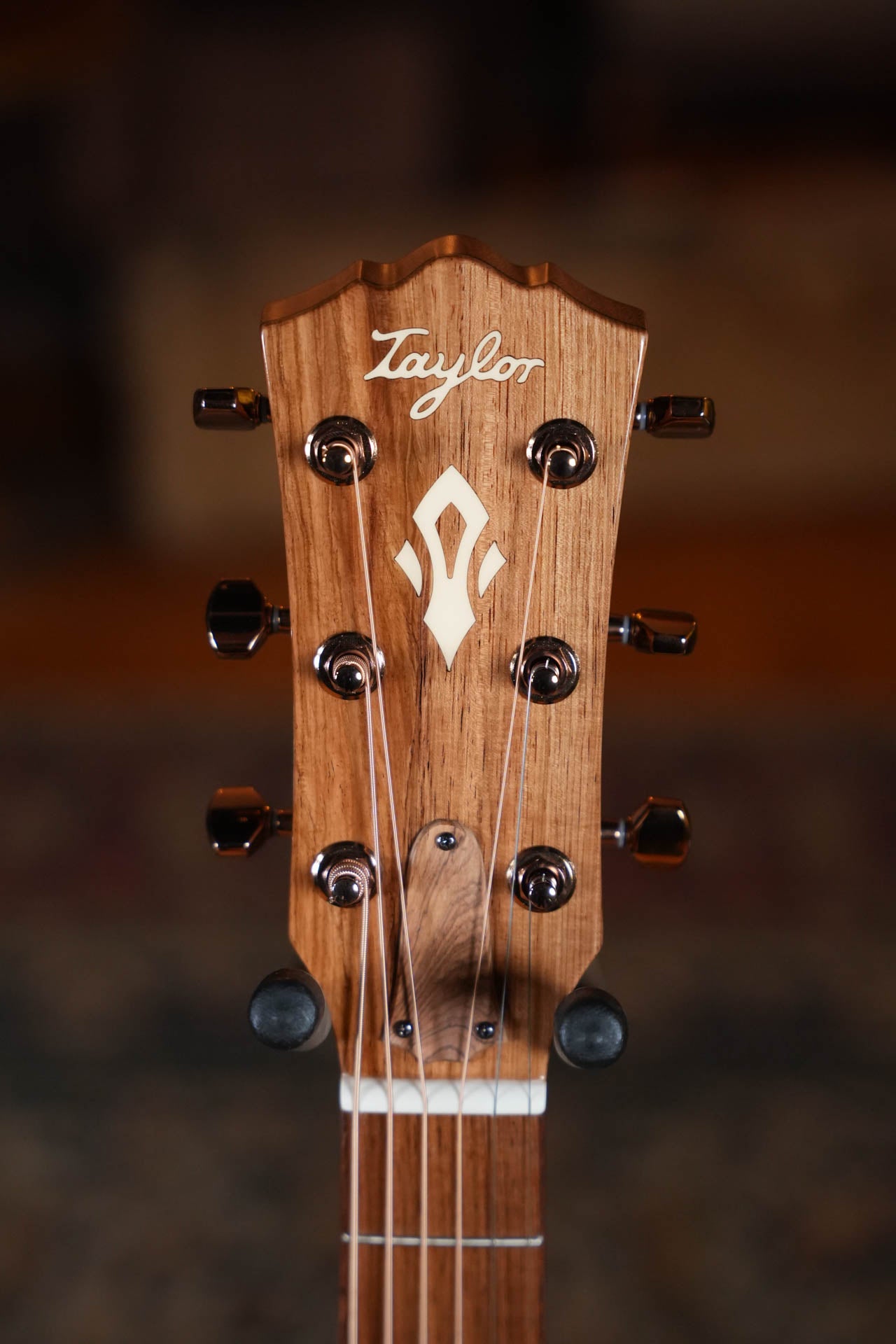 Taylor Ben Harper Gold Label 512e SE Grand Concert Acoustic-Electric #6031