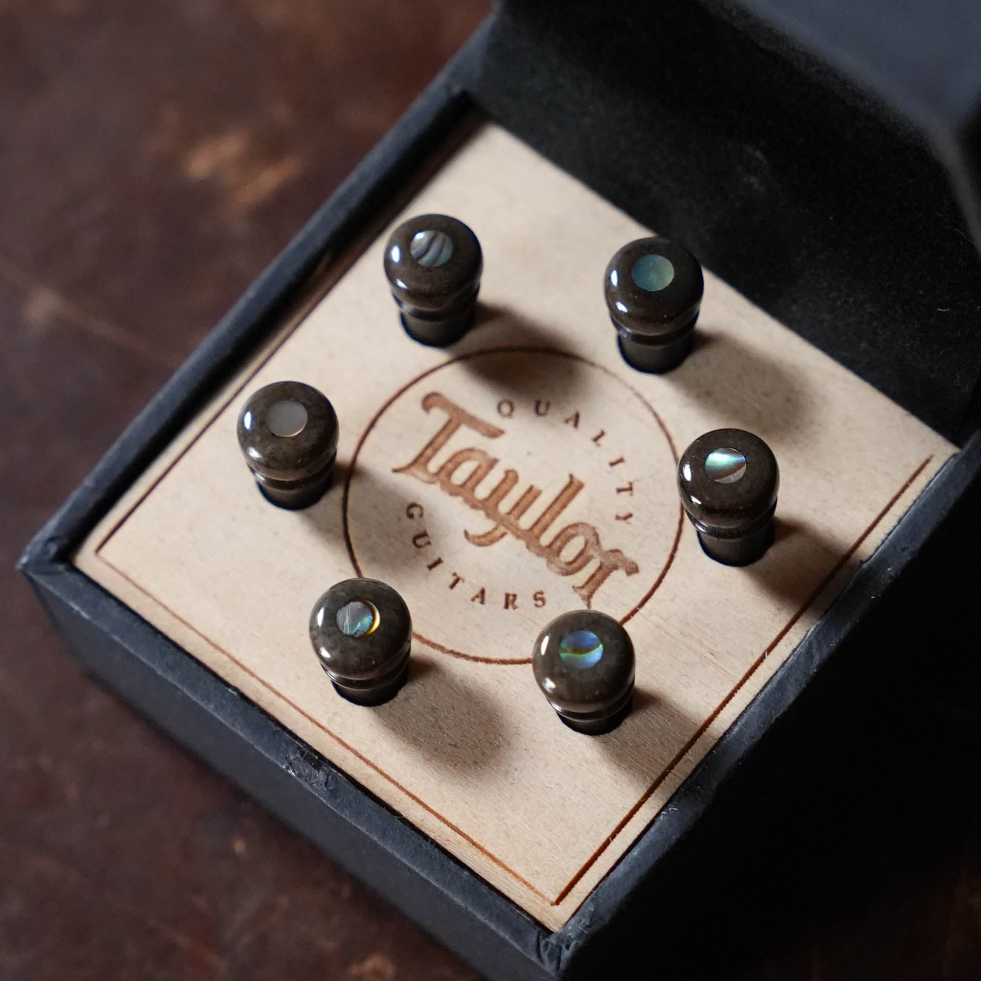 Taylor Bridge Pin Set, Bone, Brown w/Abalone