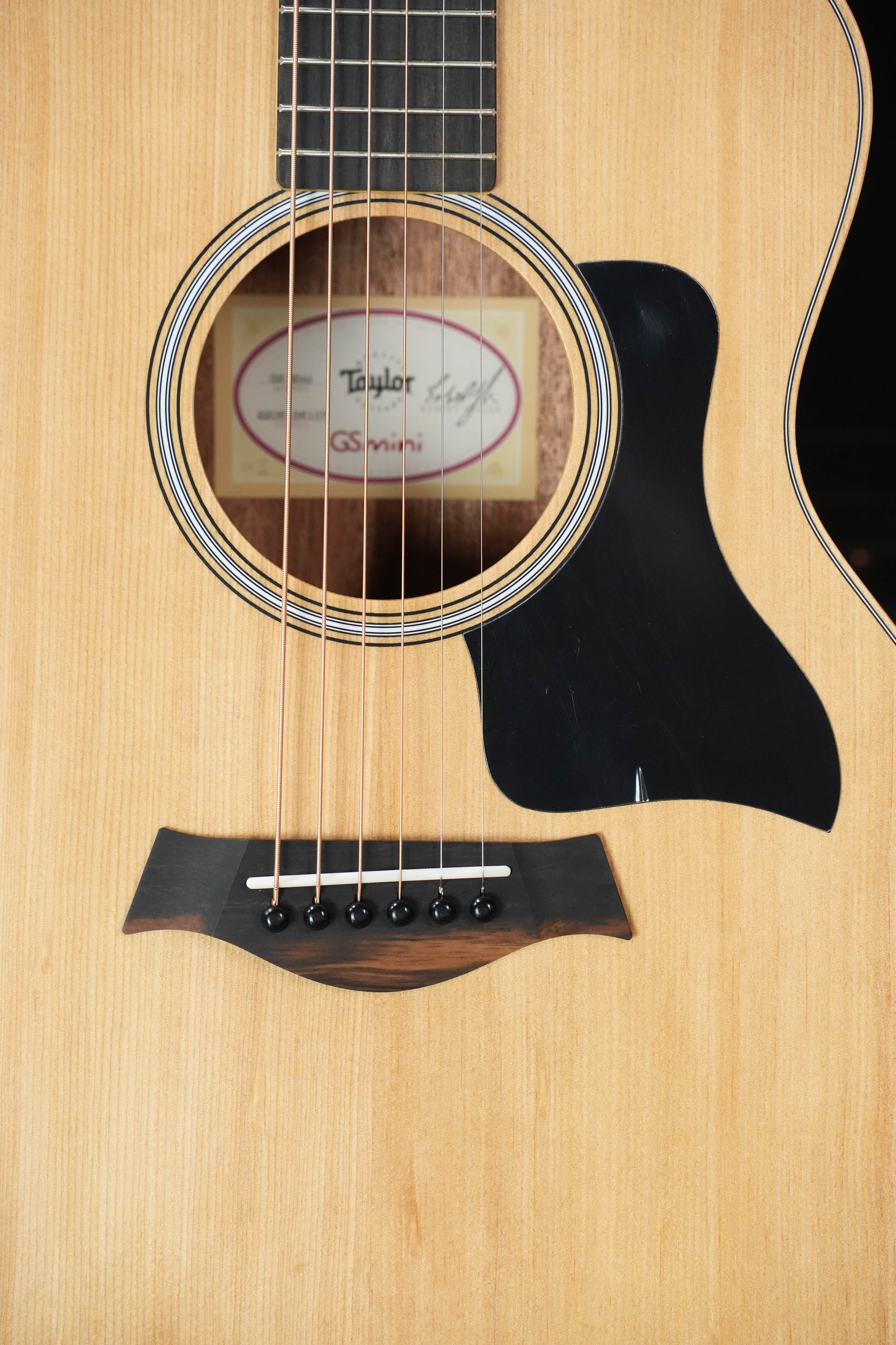 Taylor GS Mini Sapele Acoustic #6107