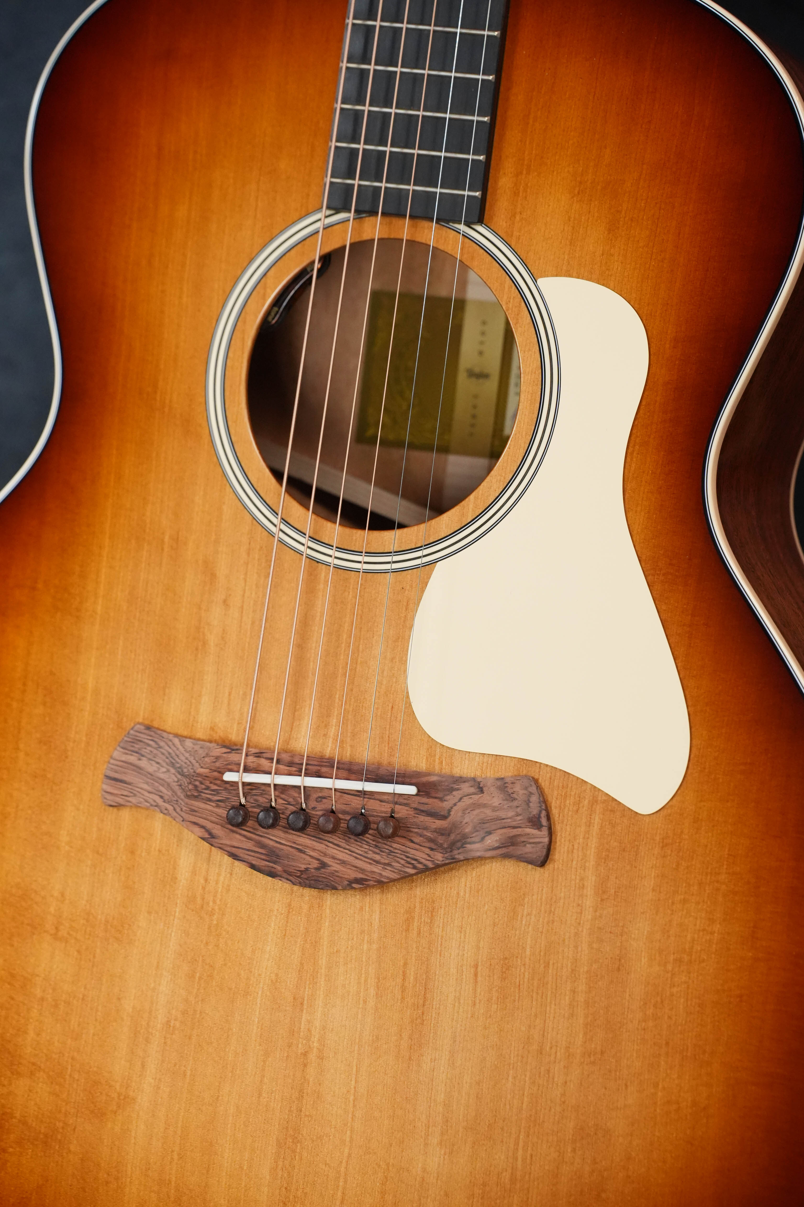 Taylor Gold Label 514e SB Super Auditorium Acoustic-Electric Sunburst #5046