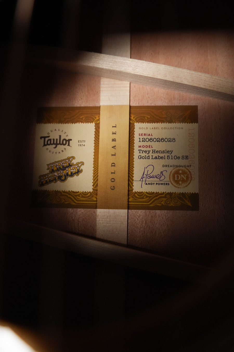 Taylor Trey Hensley Gold Label 510e Dreadnought Acoustic-Electric #6028