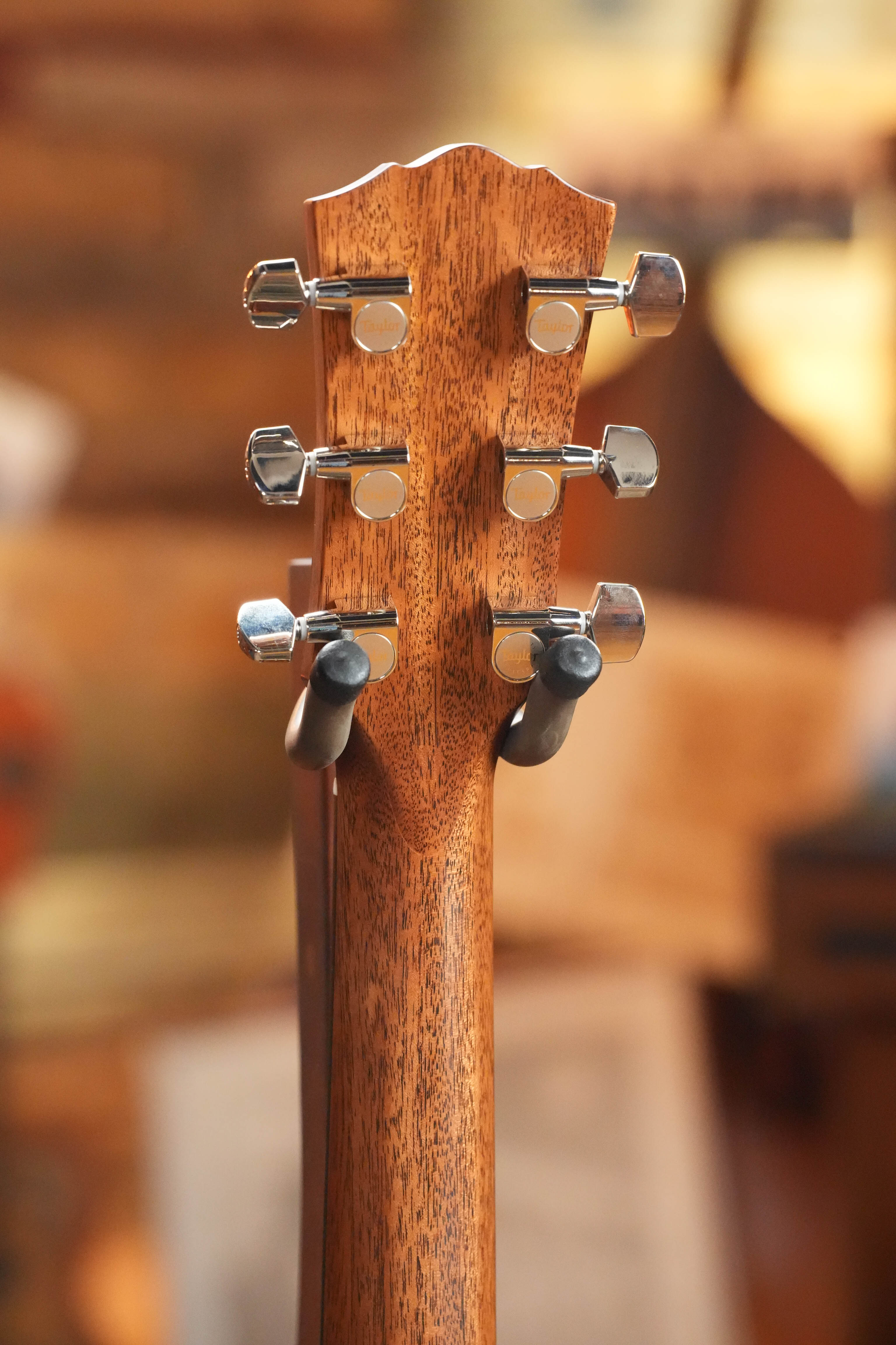 Taylor Gold Label 710e #6056 — actual unit