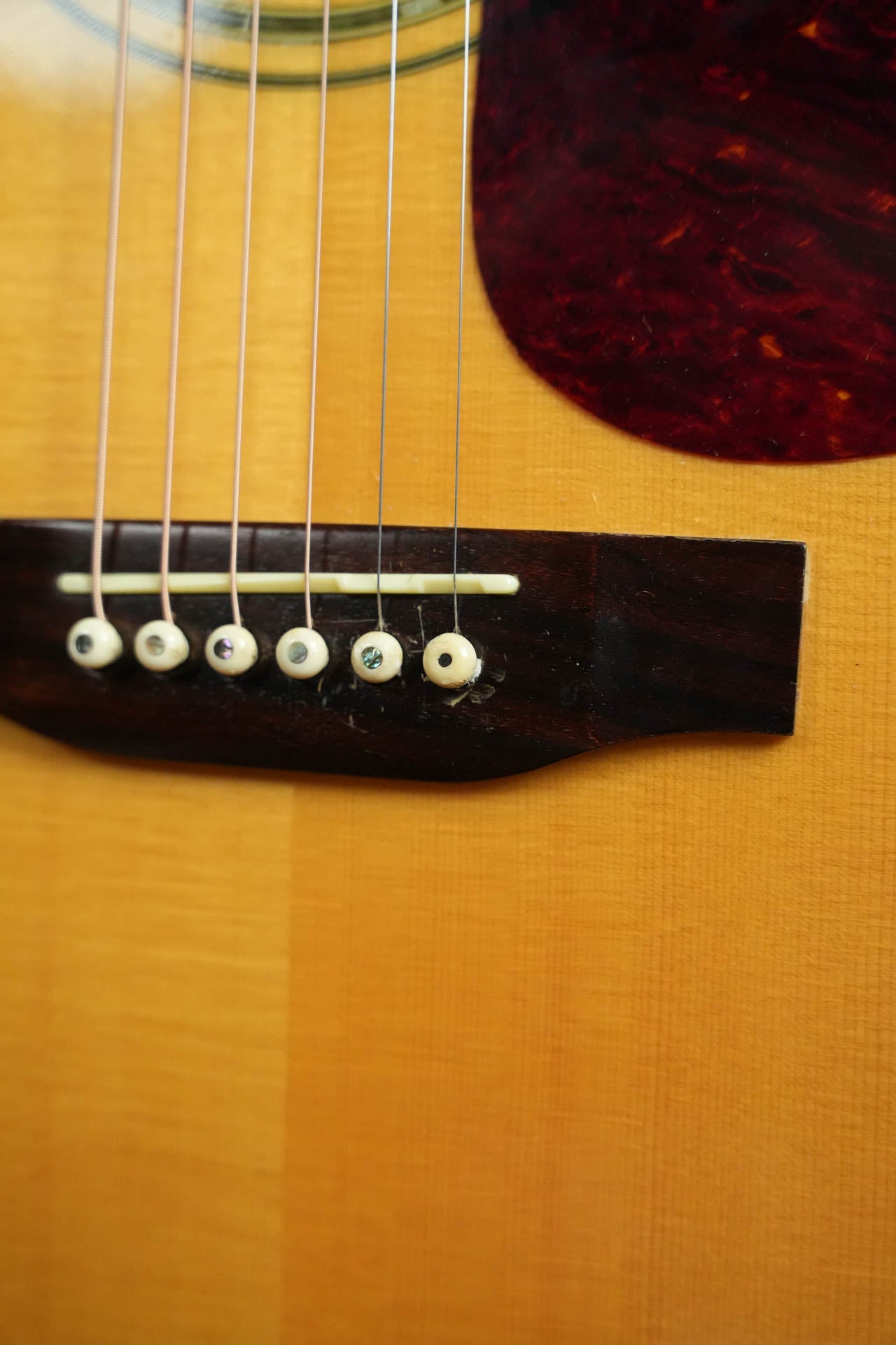 (Used) 2000 Cort Earth 1000 Acoustic Guitar #0374