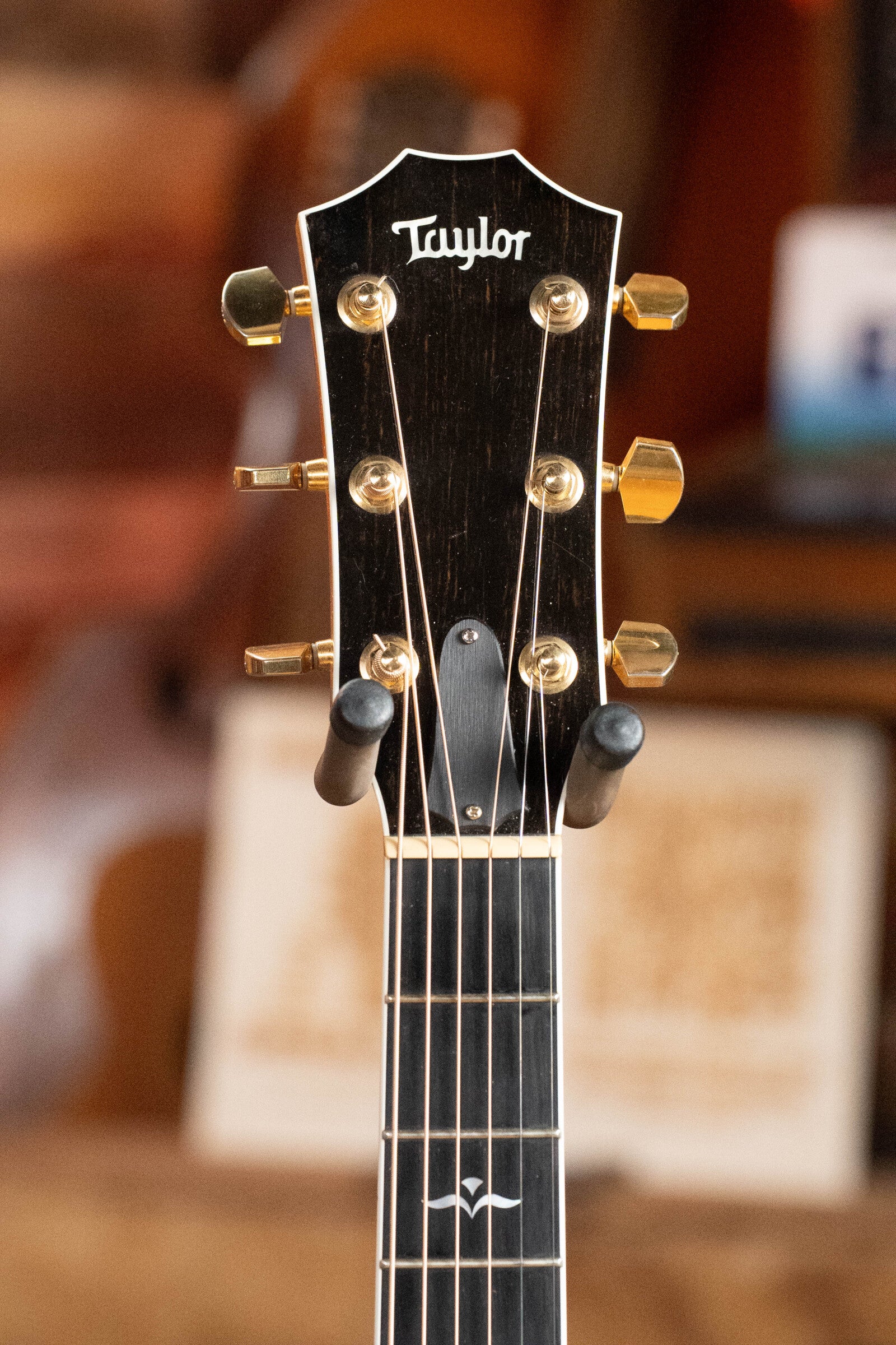 Close-up of a (Used) 2009 Taylor 614CE Torrefied Sitka/Maple Grand Auditorium guitar headstock with gold tuners on a holder. Softly blurred brown background. Taylor Guitars branding visible. Model #5110, includes pickup.