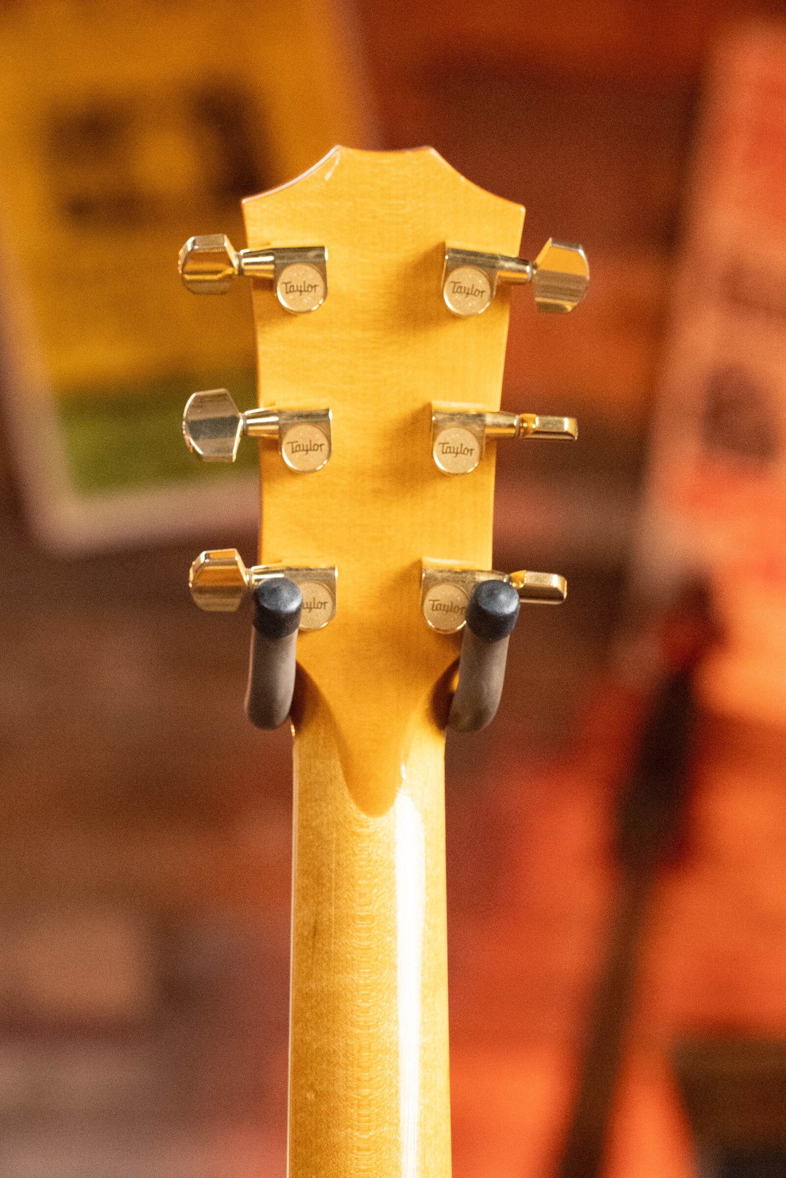 Close-up of the back of a (Used) 2009 Taylor 614CE Torrefied Sitka/Maple Grand Auditorium guitar headstock featuring six gold tuners, with a blurred warm background and part of a stand visible. Brand: Taylor Guitars.