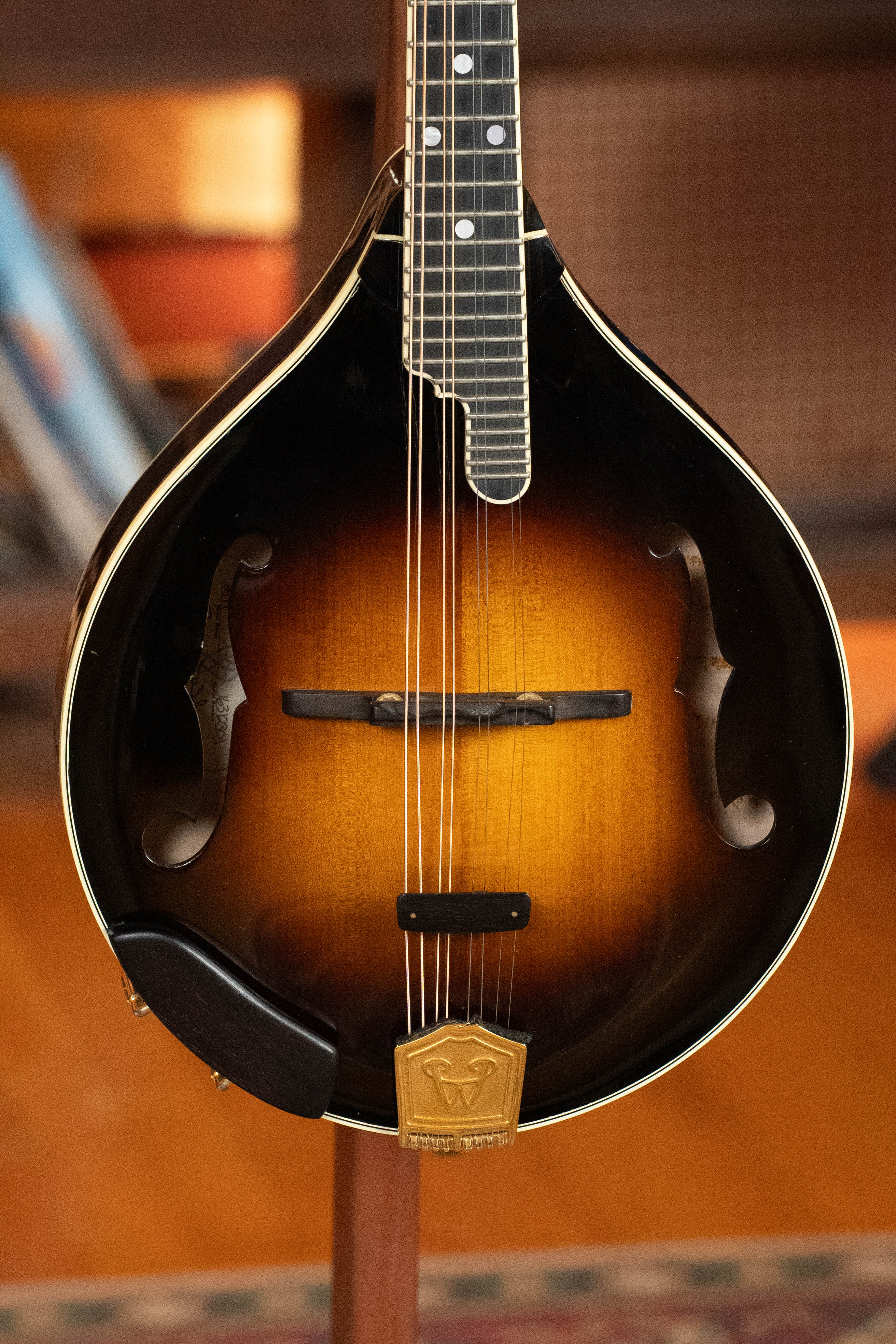A (Used) 2016 Weber Fern Red Spruce/Flamed Maple A-Style Mandolin #2801 with a sunburst finish, teardrop body, f-holes, gold tailpiece, and black pickguard stands upright on a patterned rug. Brand: Weber.