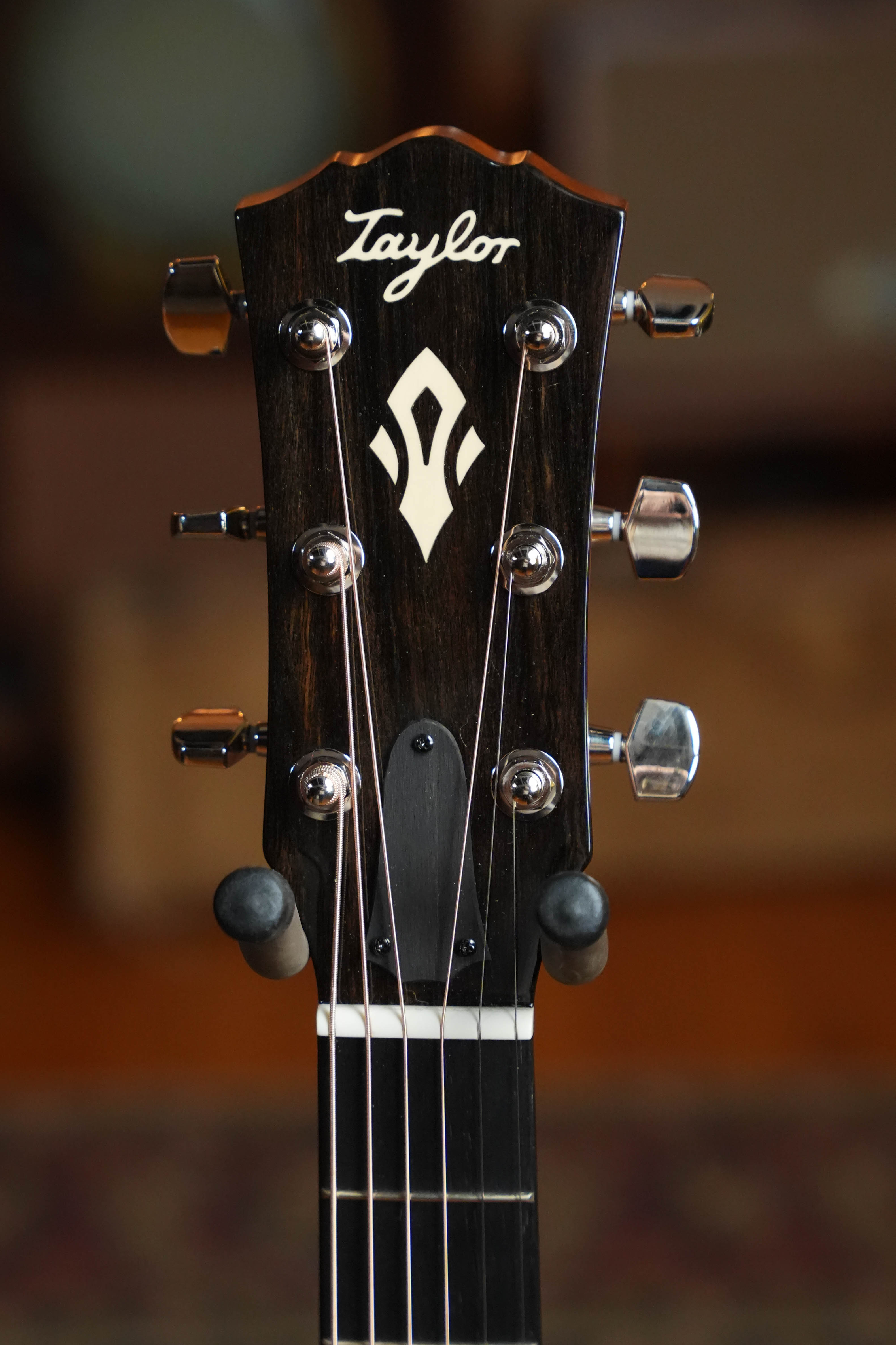 (Used) 2025 Taylor 517e Gold Label Grand Pacific Guitar w/LR Baggs Pickup #5058