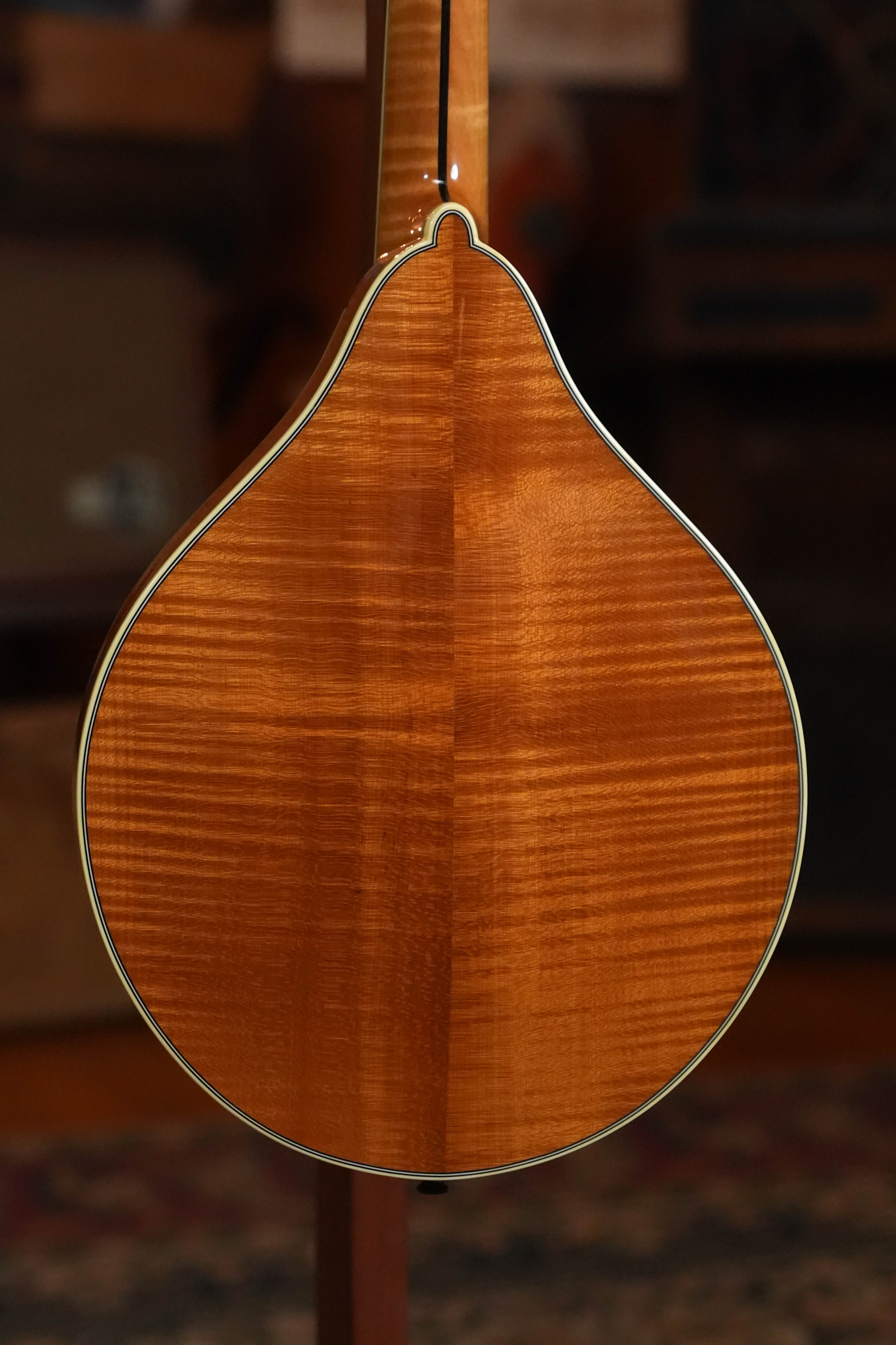 (Used) Bourgeois M5-A A-Style Mandolin #3114