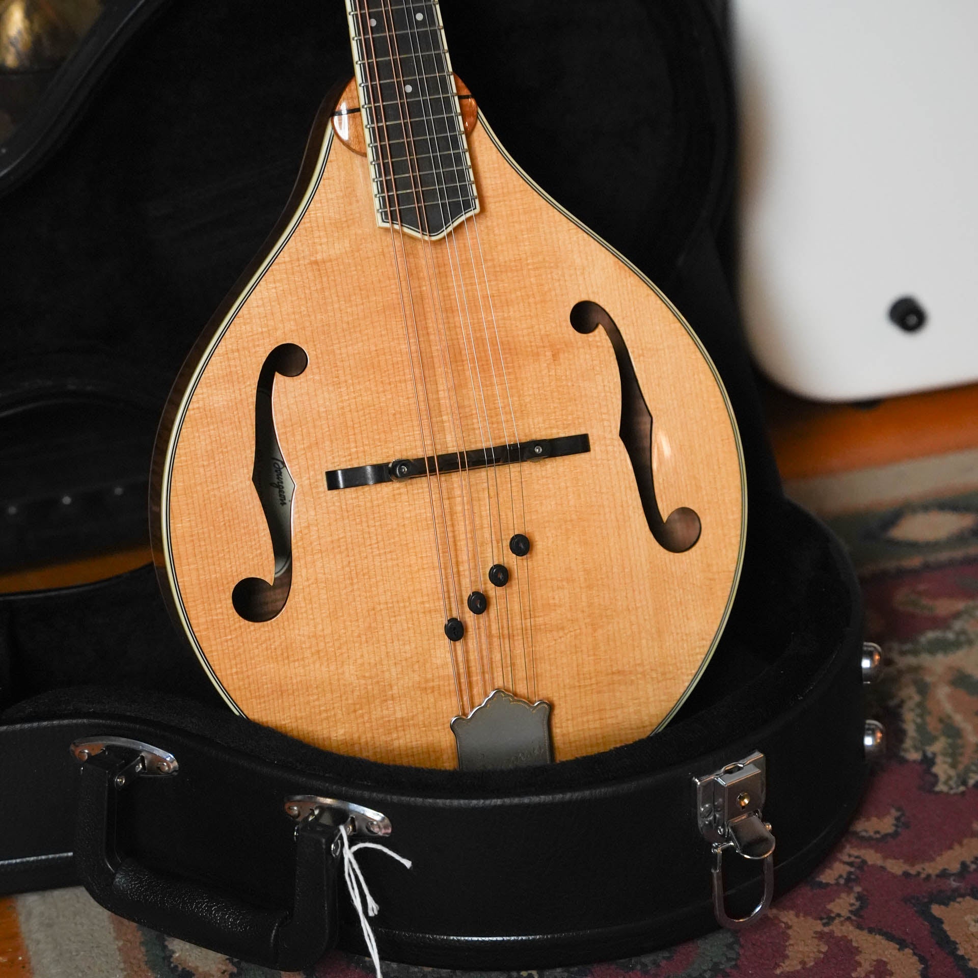 (Used) Bourgeois M5A A-Style Mandolin #9008