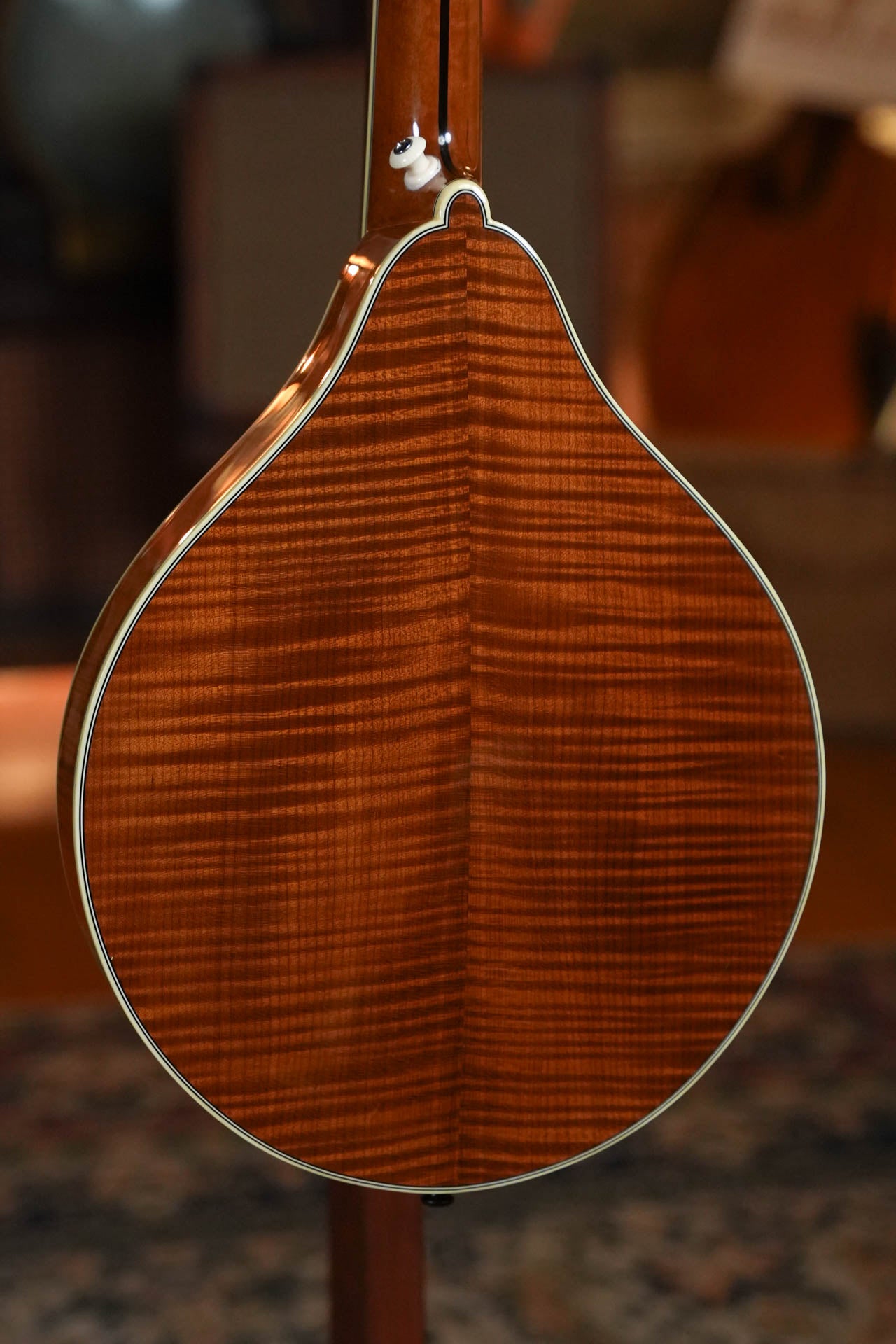 (Used) Bourgeois M5A A-Style Mandolin #9008