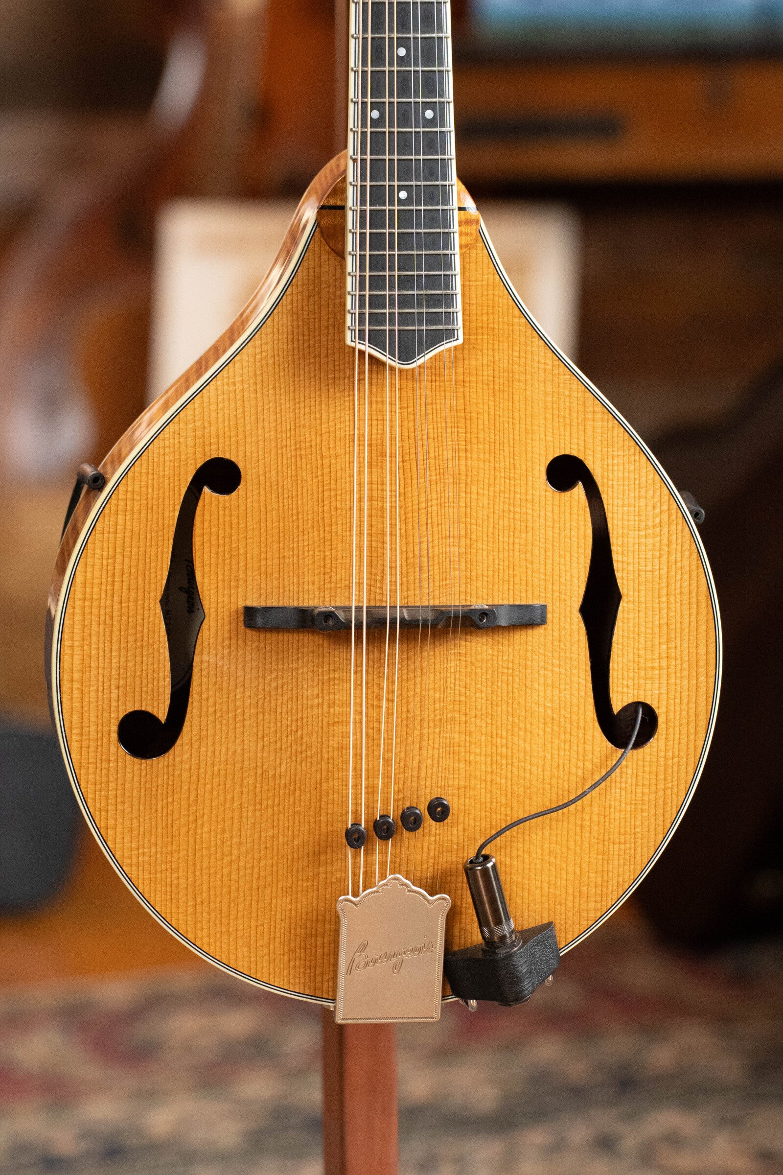 (Used) Bourgeois M5A Adirondack/Maple A-Style Mandolin w/Pickup #8017