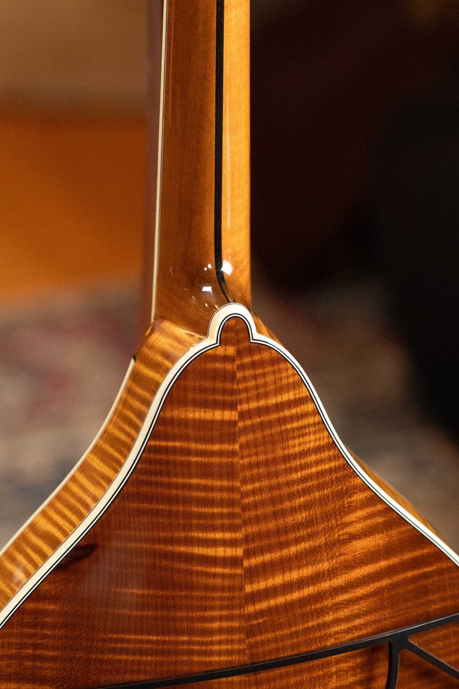 (Used) Bourgeois M5A Adirondack/Maple A-Style Mandolin w/Pickup #8017