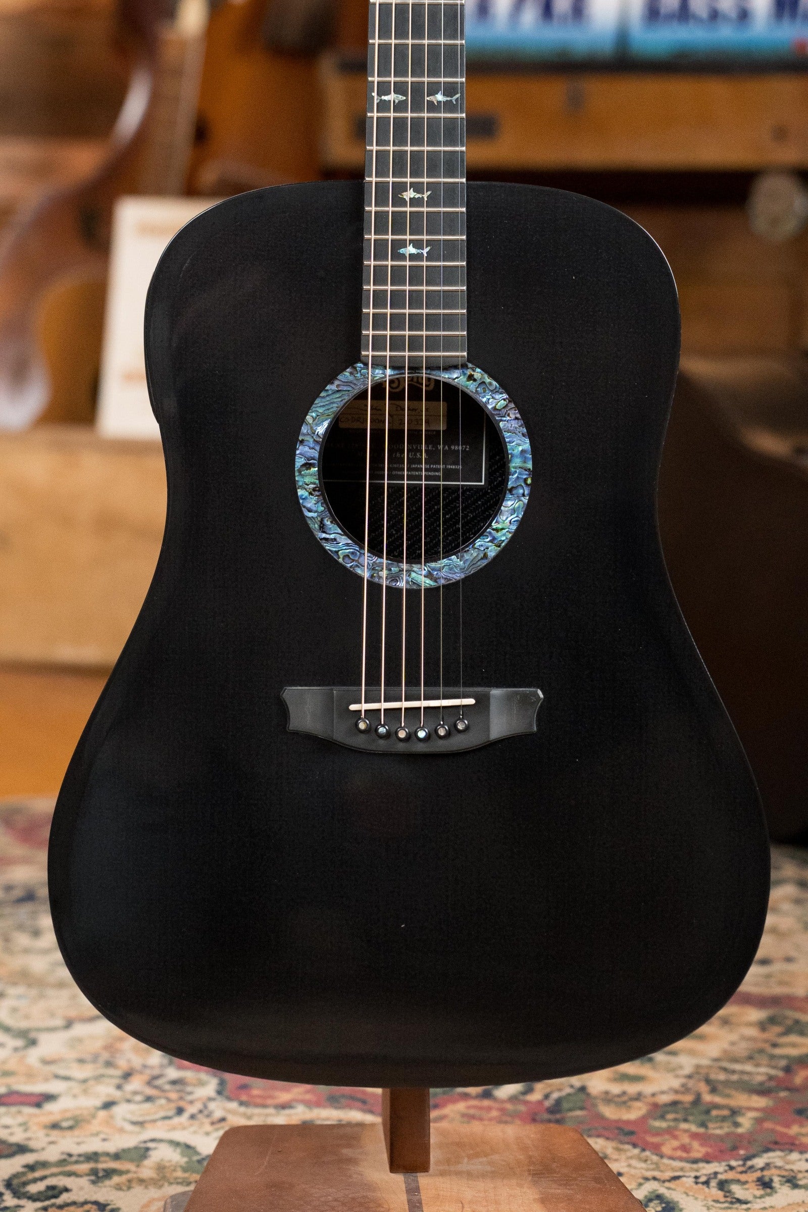 (Used) RainSong CO-DR1000N2 All Graphite Dreadnought Guitar w/Electronics #5764