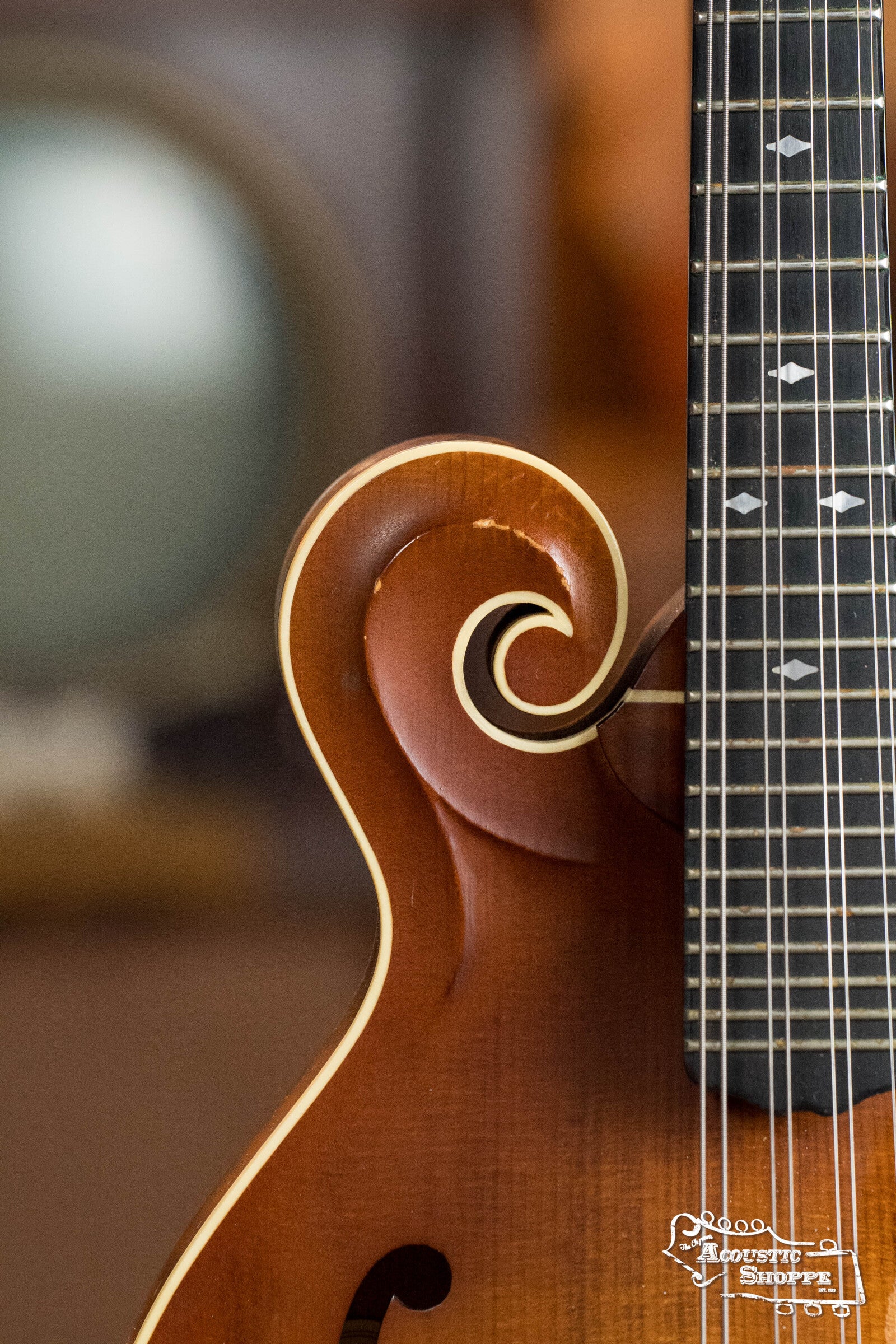 (Used) 2009 Weber Bitterroot F-Style Mandolin #6208