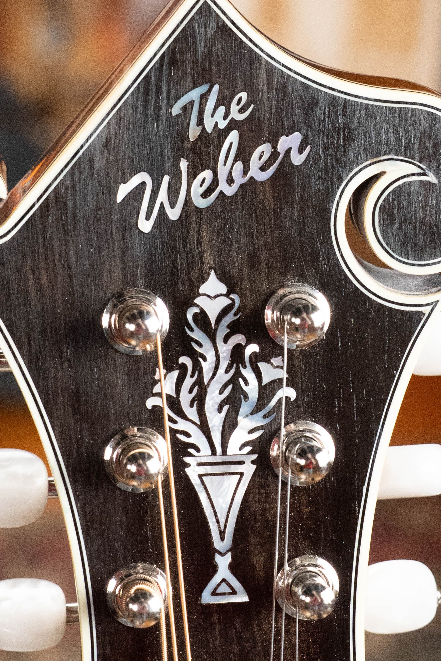 Weber Yellowstone F14-F Sitka/Flamed Maple F-Style Single Cutaway Mandolin #1306