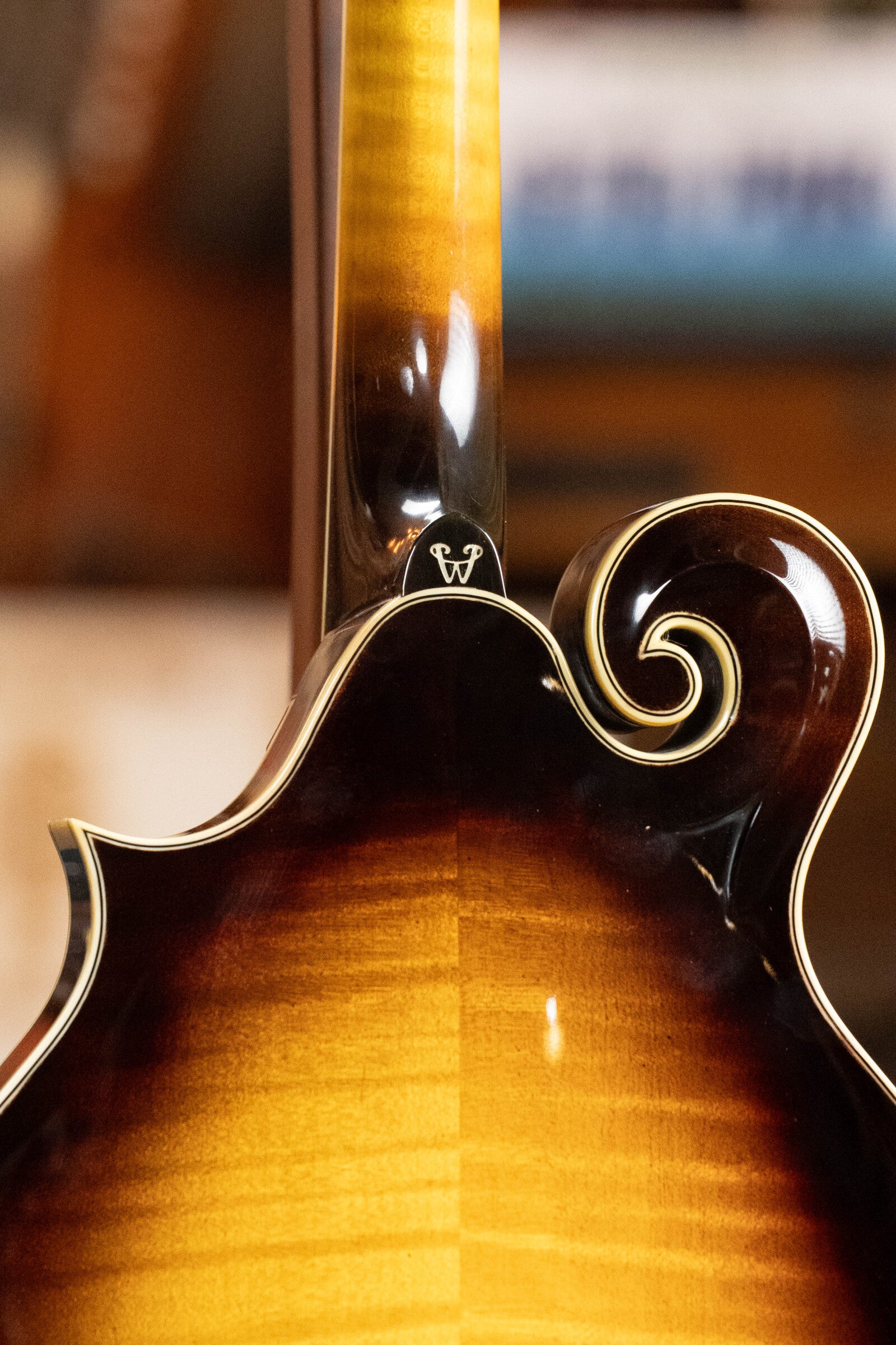 Weber Yellowstone F14-F Sitka/Flamed Maple F-Style Single Cutaway Mandolin #1306