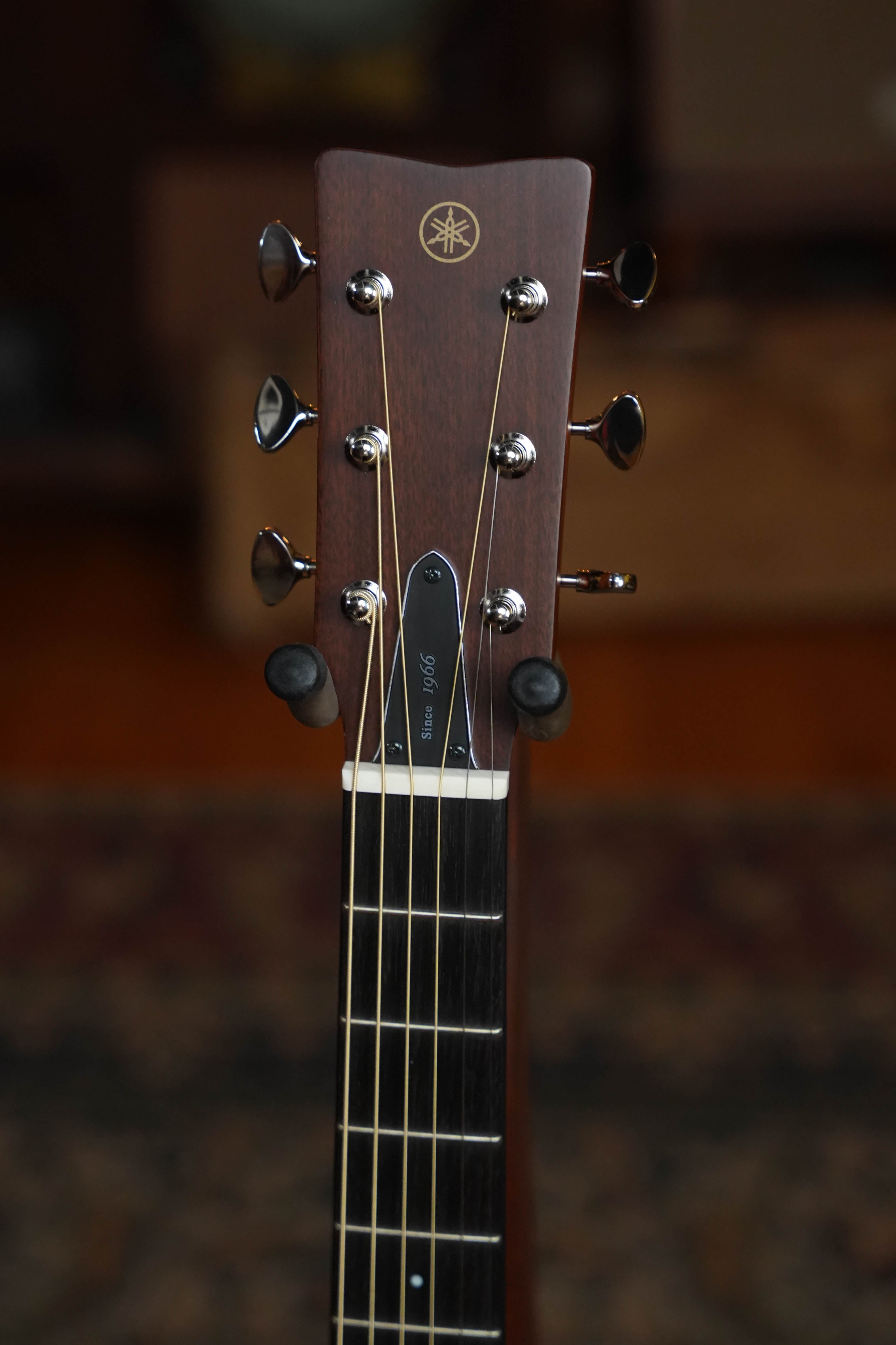 Yamaha FS5 GL Gloss Concert Acoustic Guitar #297A