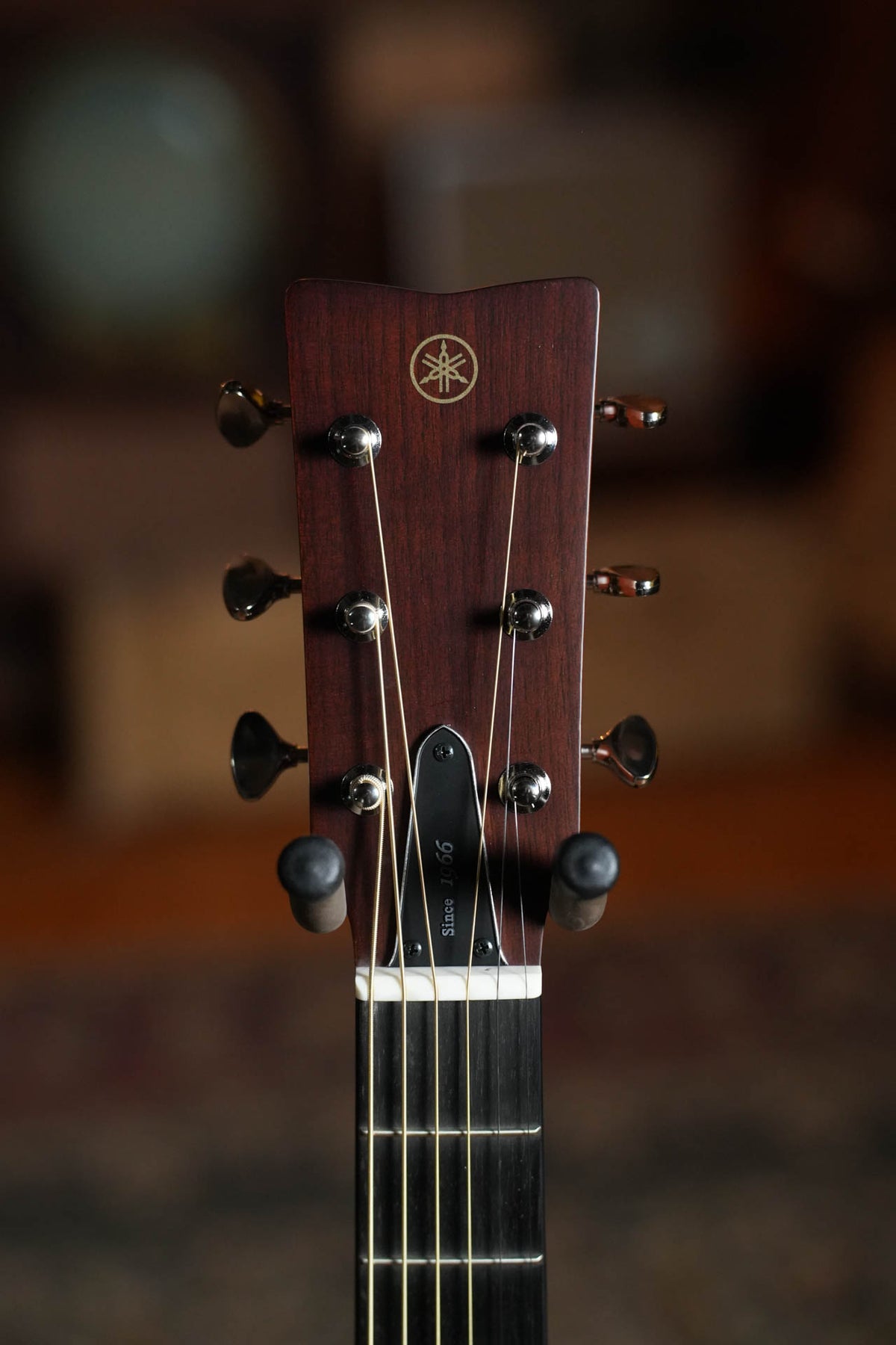 Yamaha FS5 GL Gloss Concert Acoustic Guitar #379A