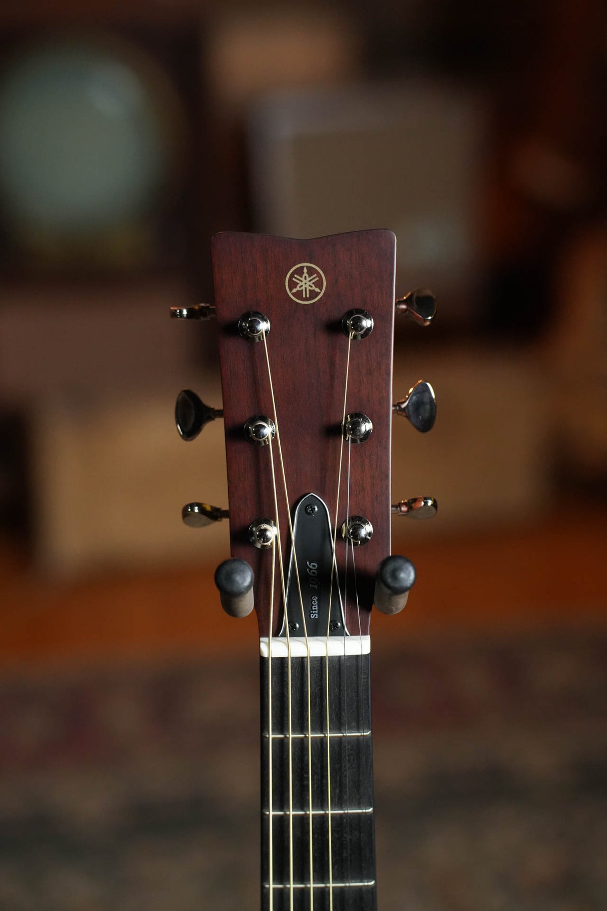 Yamaha FS5 GL Gloss Concert Acoustic Guitar #386A