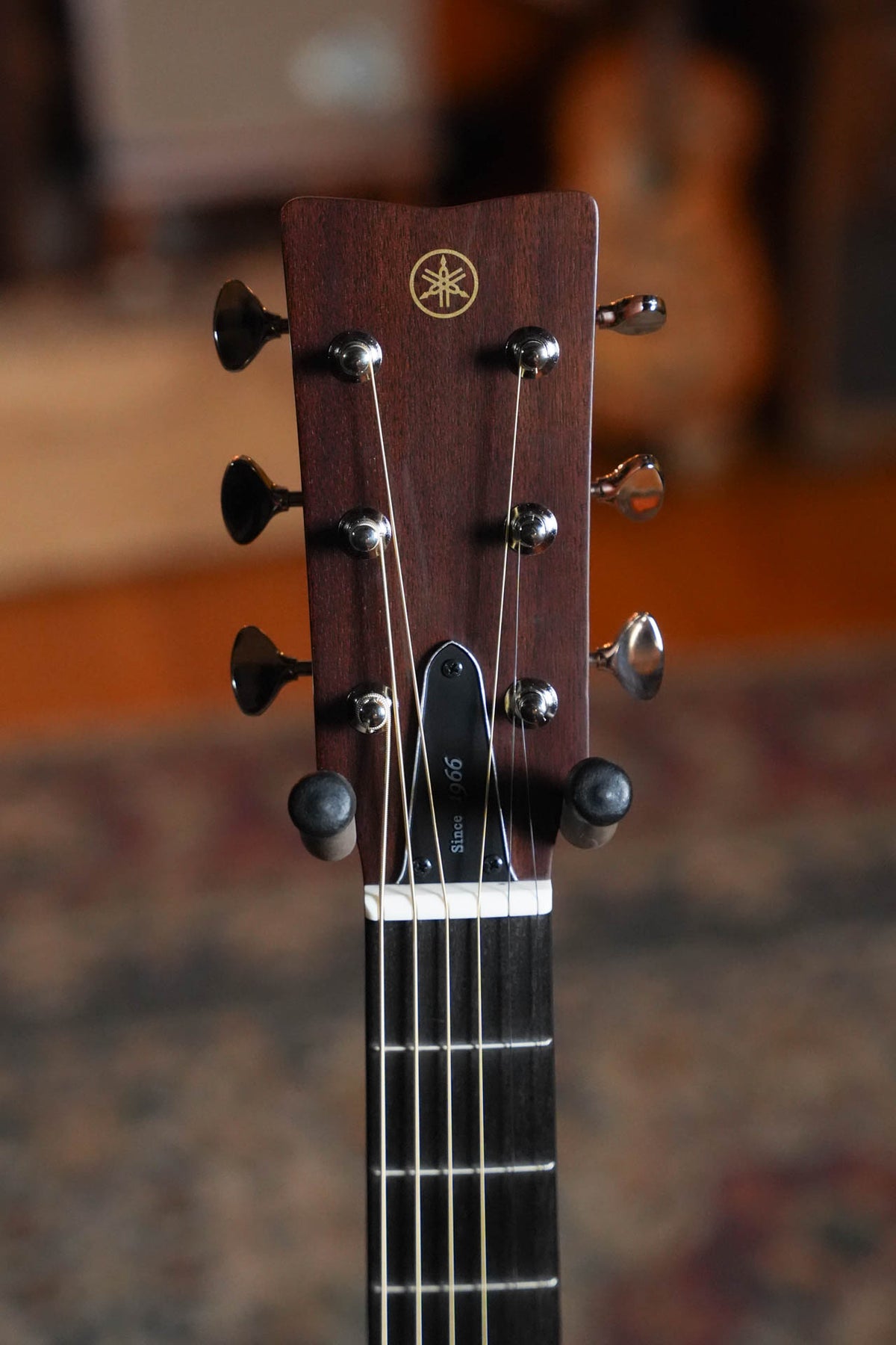 Yamaha FS5 GL Gloss Concert Acoustic Guitar #421A