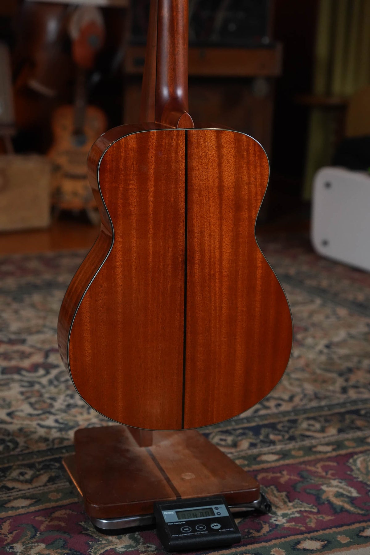 Yamaha FS5 GL Gloss Concert Acoustic Guitar #421A