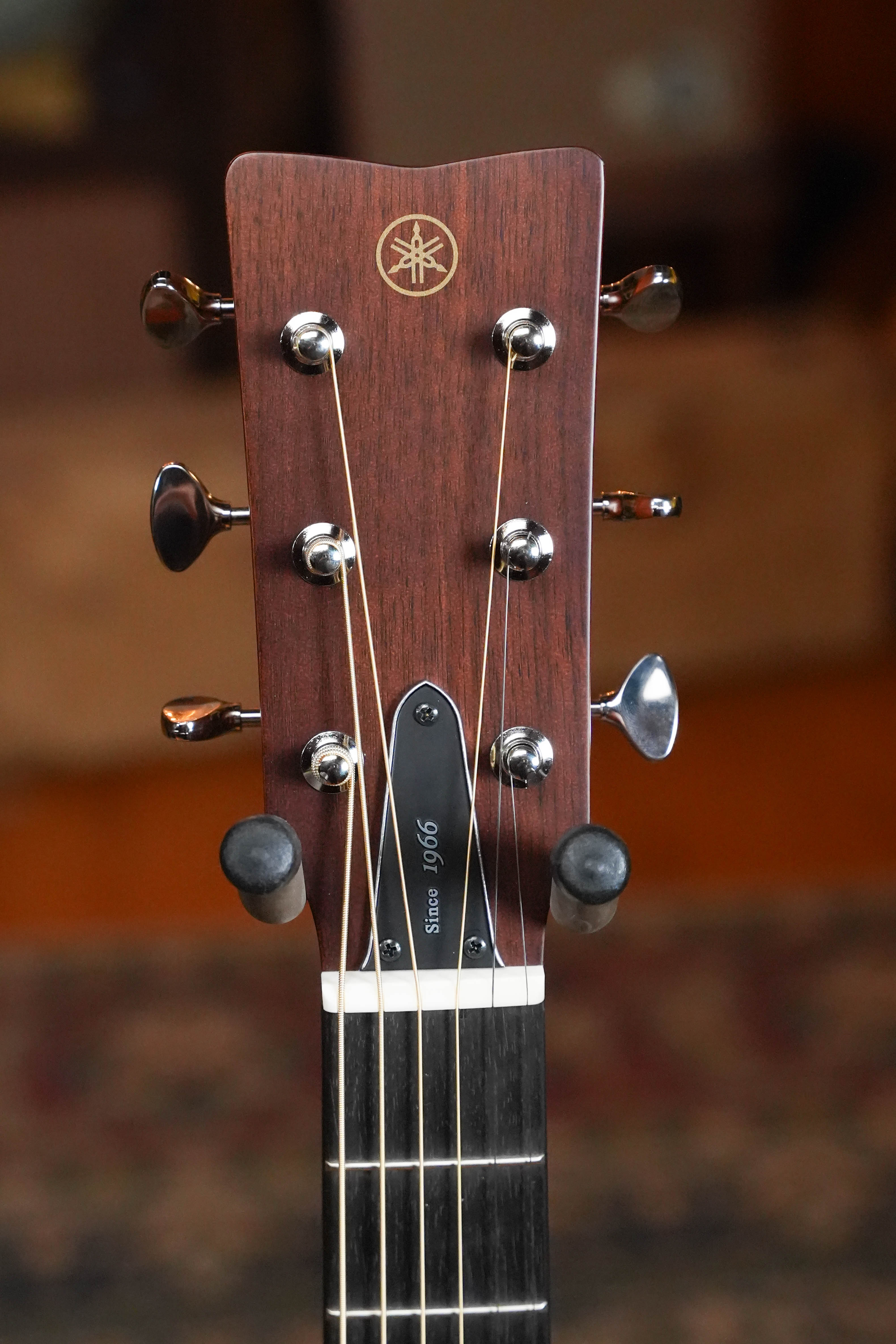 Yamaha FS5 GL Gloss Concert Acoustic Guitar #453A
