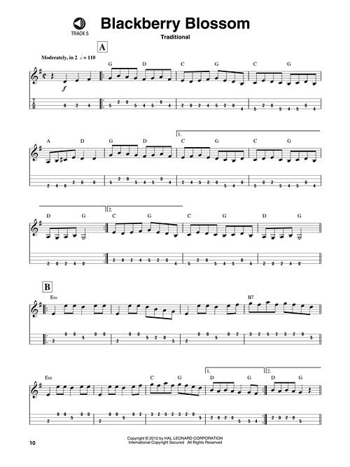 Bluegrass Mandolin Play-Along Volume 1 (HL00702517)