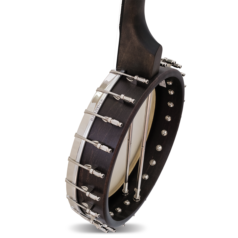 Deering Vega Avett Star Signature Banjo - detail shot