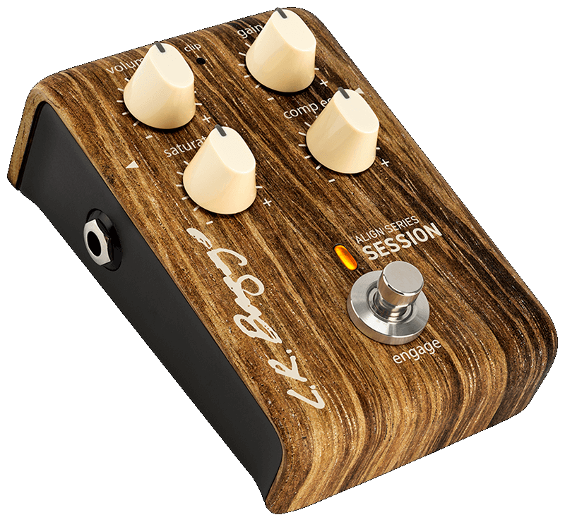 L.R. Baggs Align Session