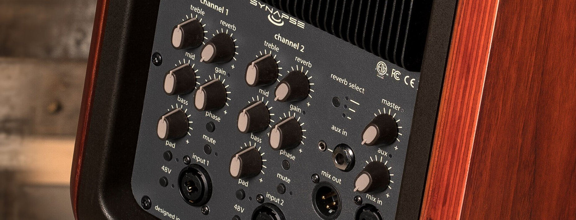 L.R. Baggs Synapse Personal PA System