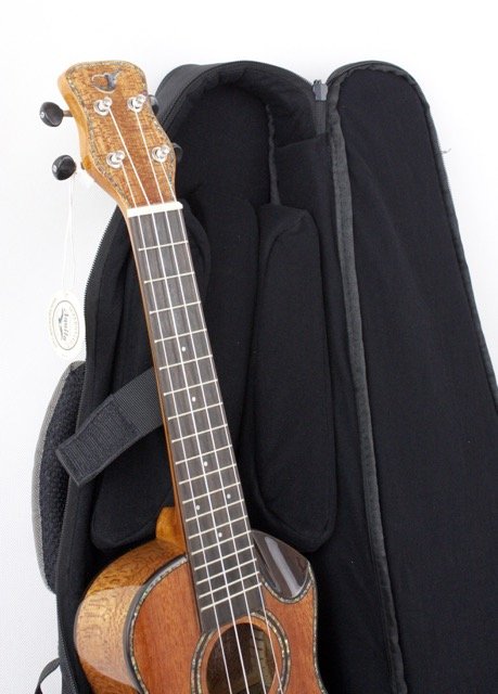 JourneyTek Concert Ukulele Case BG002