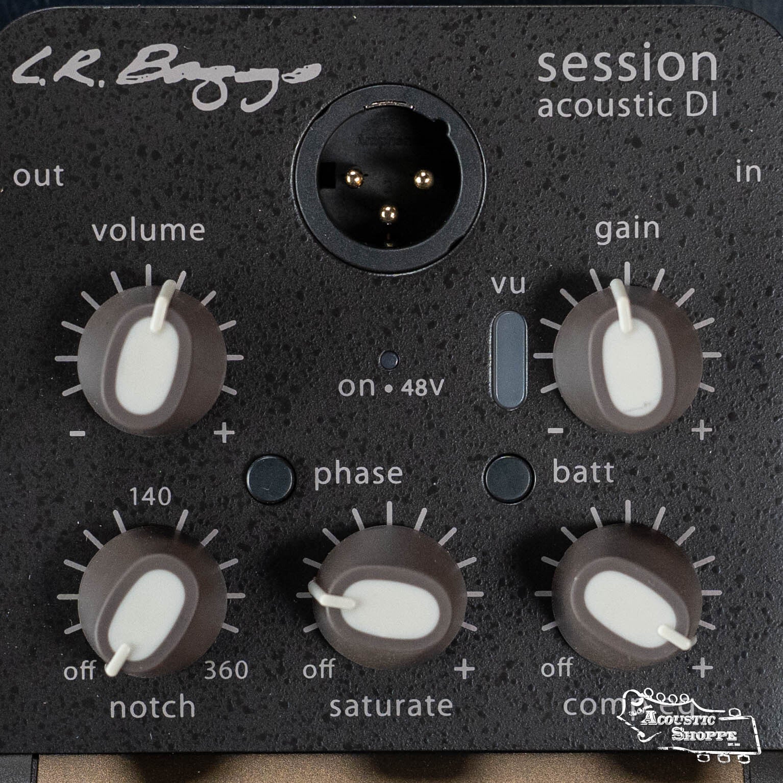 L.R. Baggs Session DI